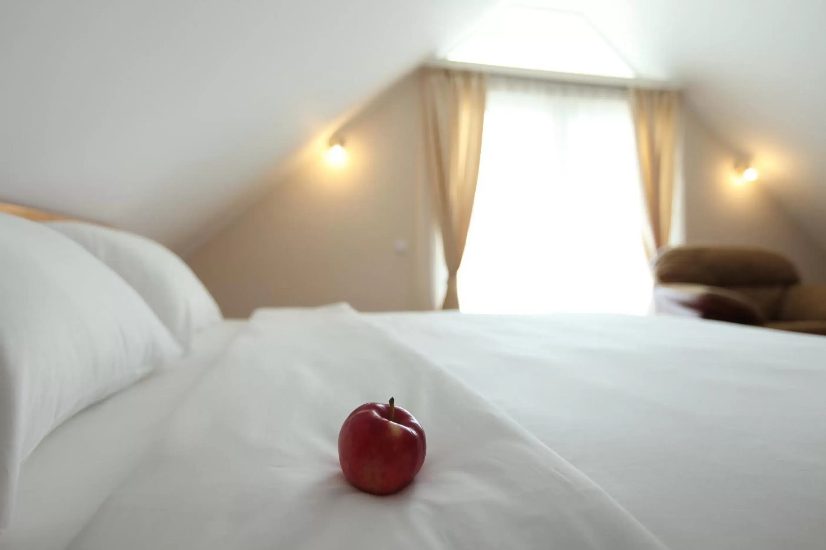 Junior Suite in Hotel Novella Uno Junior Suite in Hotel Novella Uno