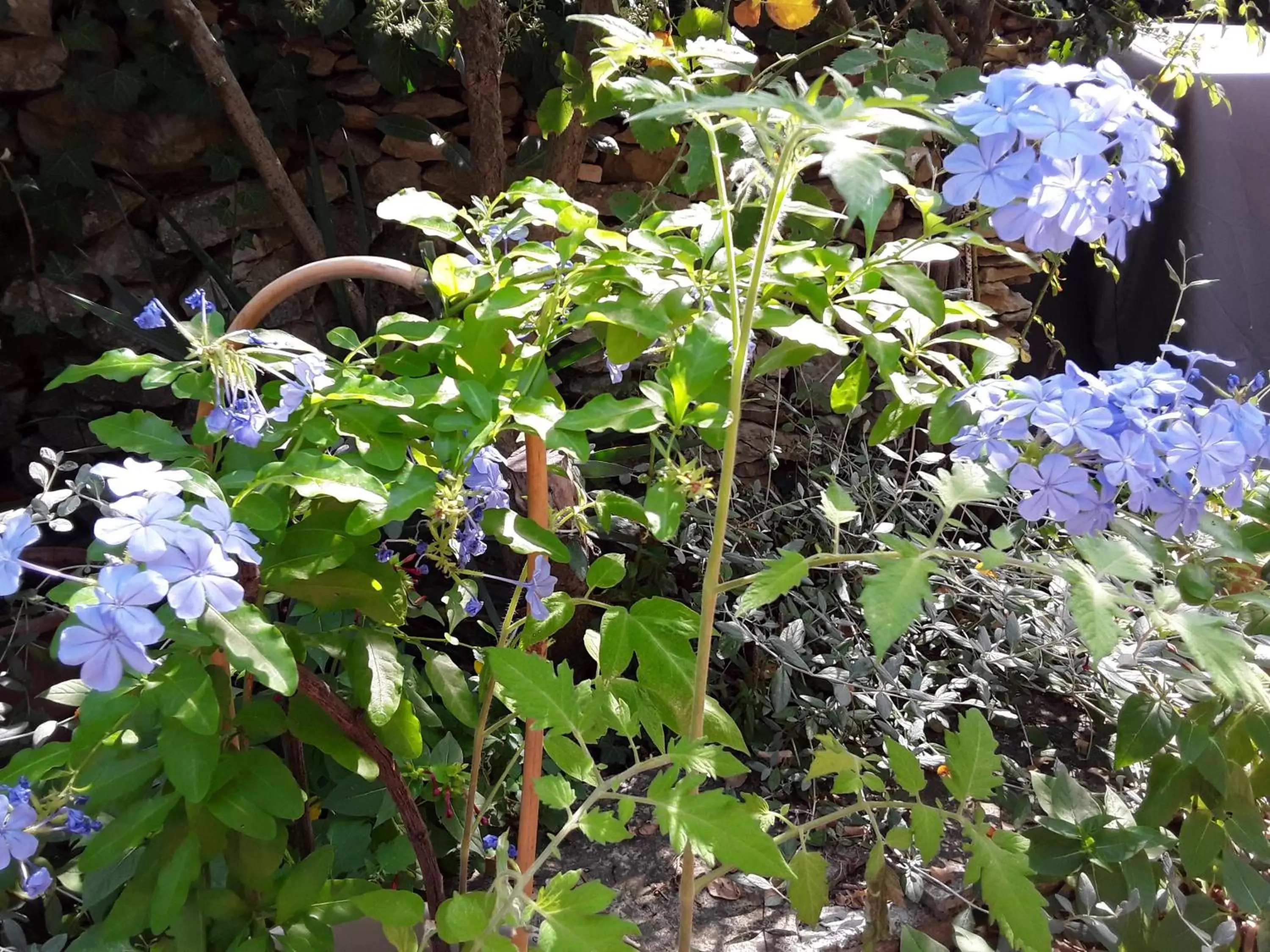 Suite with Garden View in Chambres d'Hôtes Lovely Planette Suite with Garden View in Chambres d'Hôtes Lovely Planette