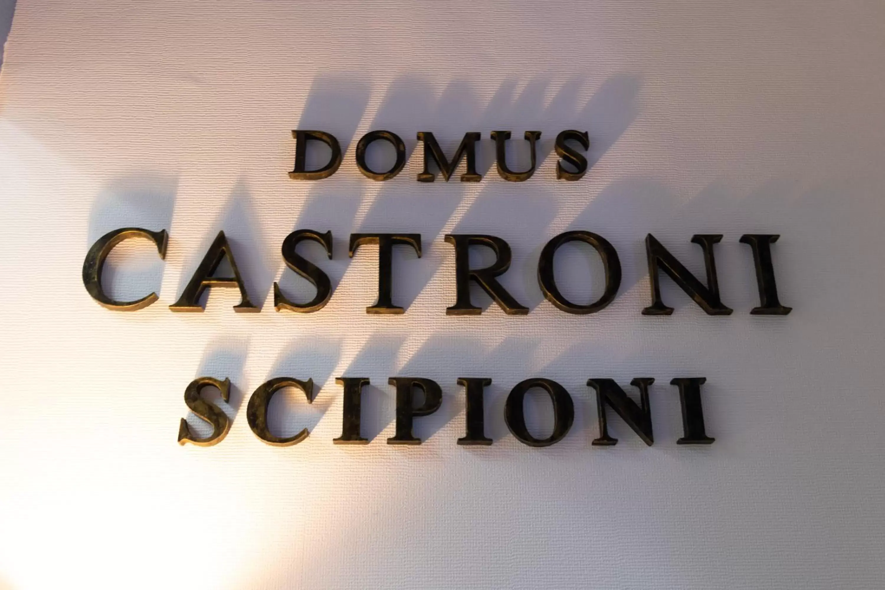 Logo/Certificate/Sign in Domus Castroni Scipioni Logo/Certificate/Sign in Domus Castroni Scipioni