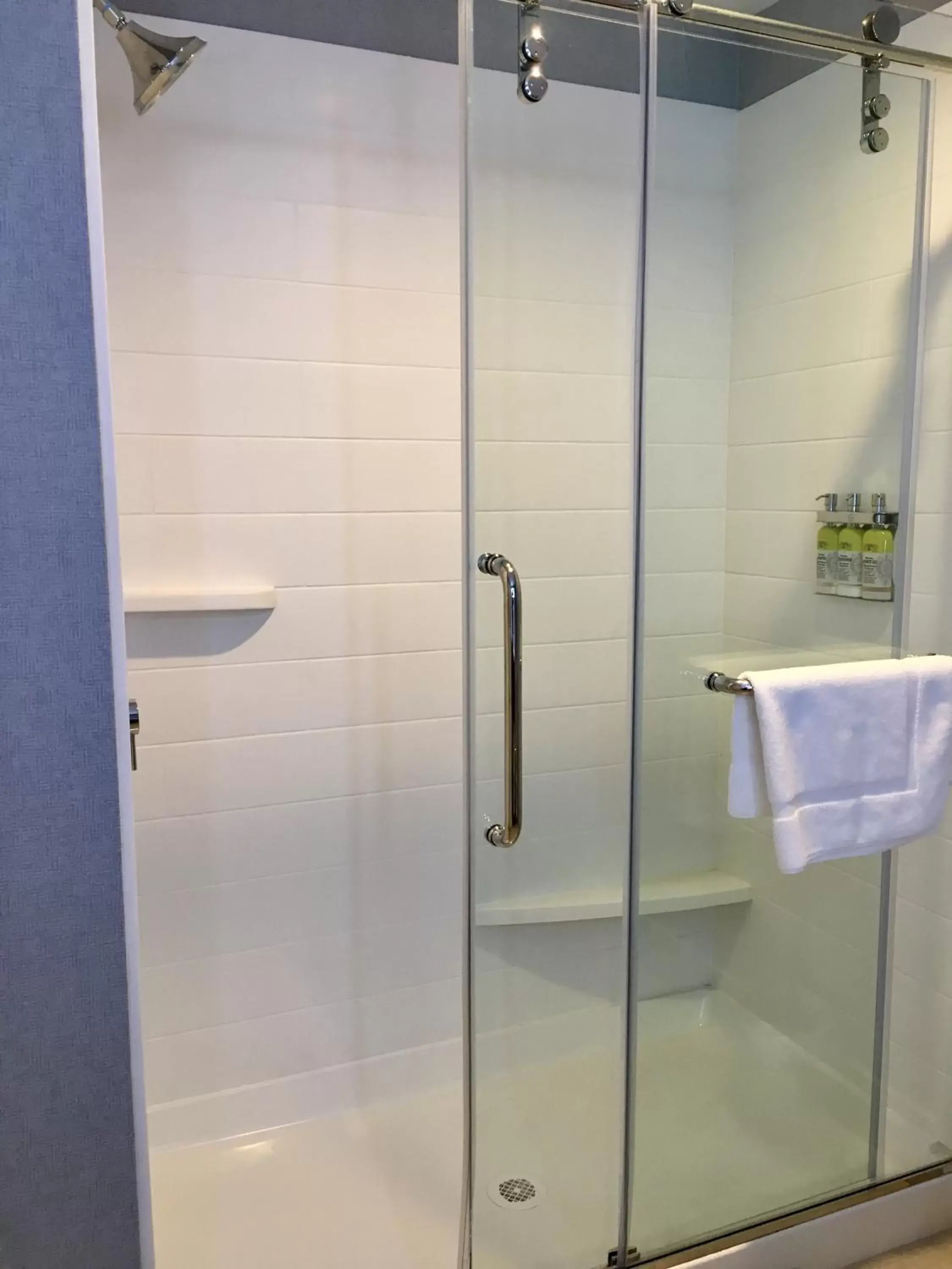 Suite - Disability Access Roll in Shower/Non-Smoking in Holiday Inn Express - Grand Island by IHG Suite - Disability Access Roll in Shower/Non-Smoking in Holiday Inn Express - Grand Island by IHG