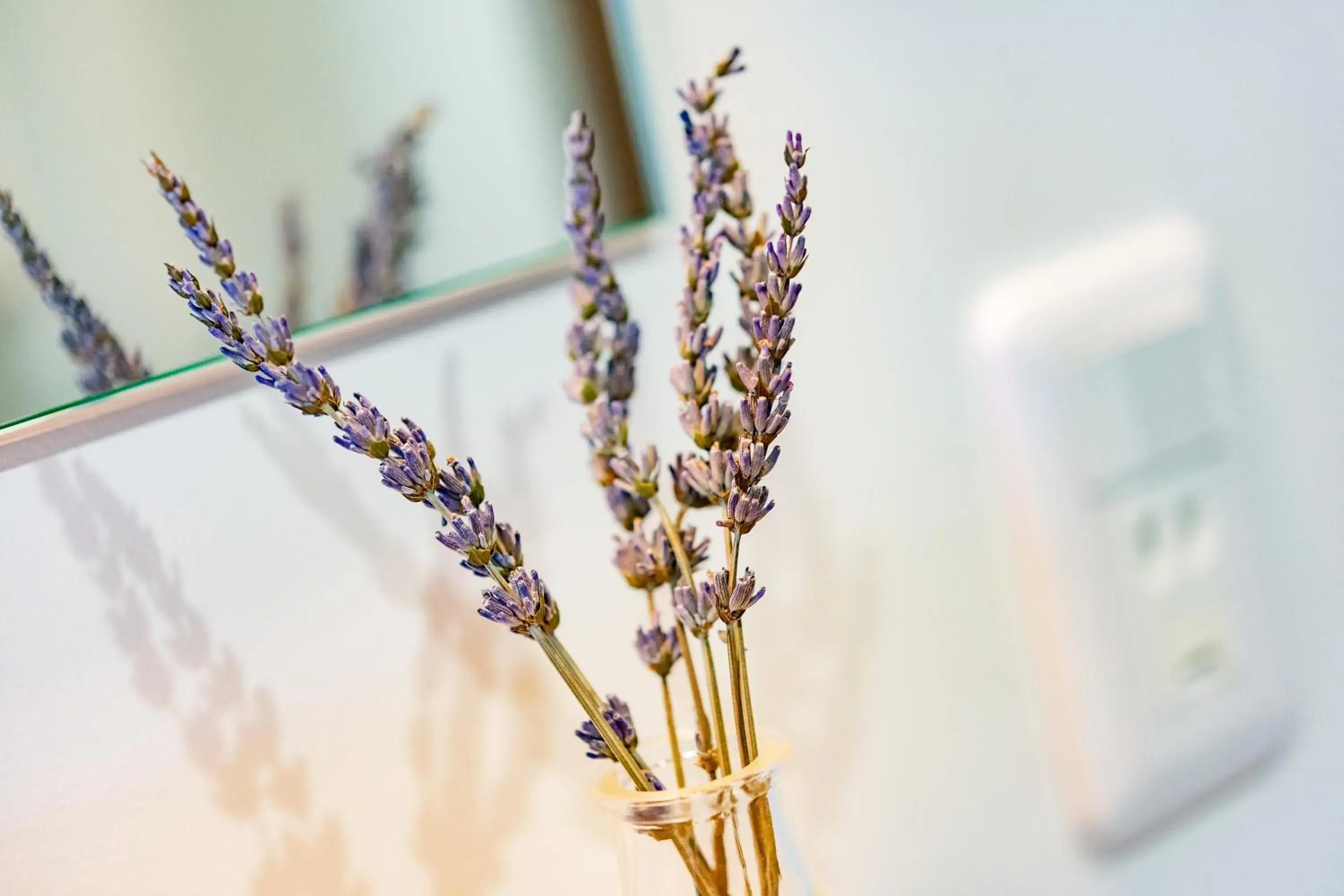 Standard Twin Room in plat hostel keikyu sapporo sky Standard Twin Room in plat hostel keikyu sapporo sky