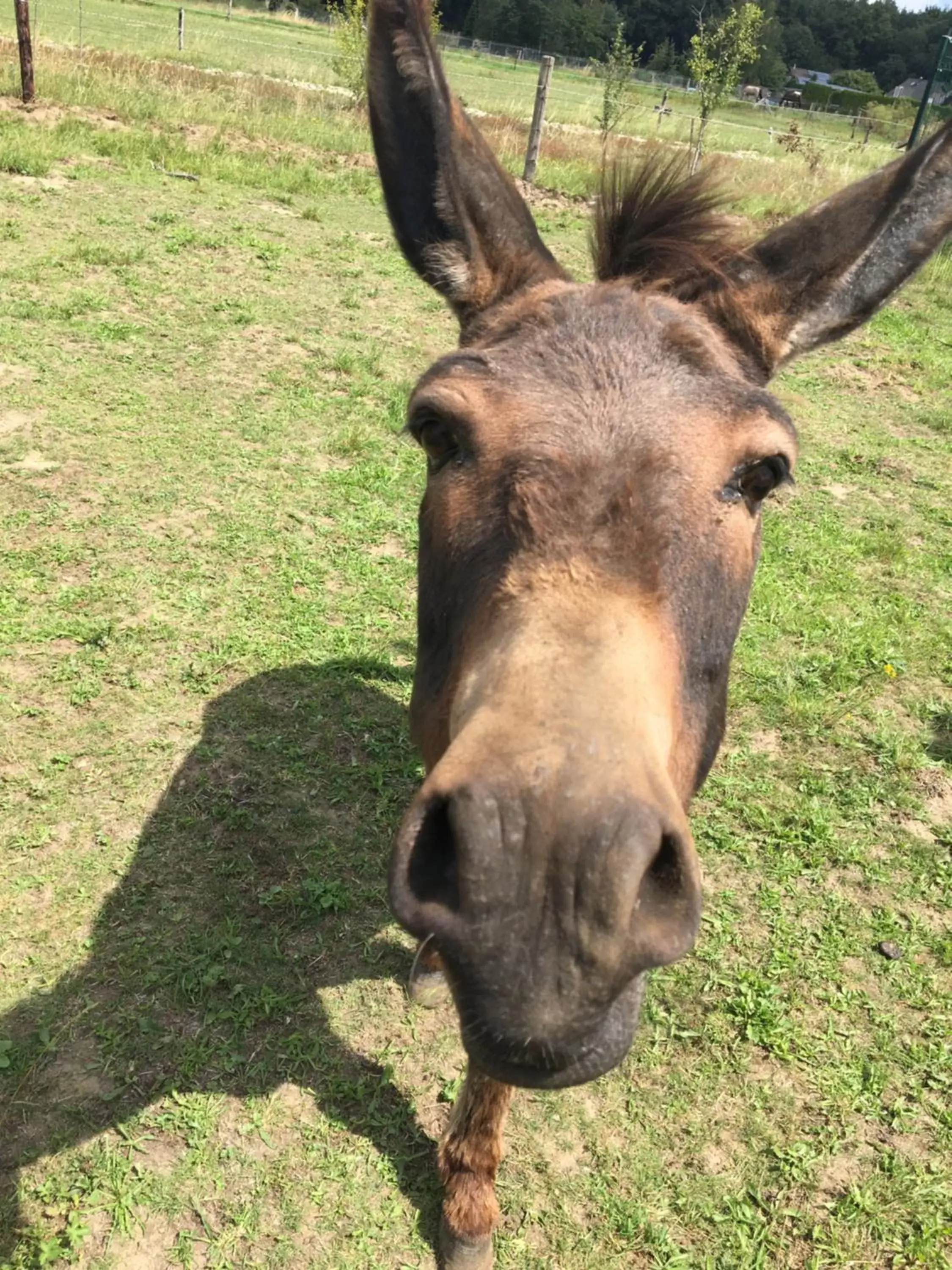 Nergena Zimmer Frei Nergena Zimmer Frei