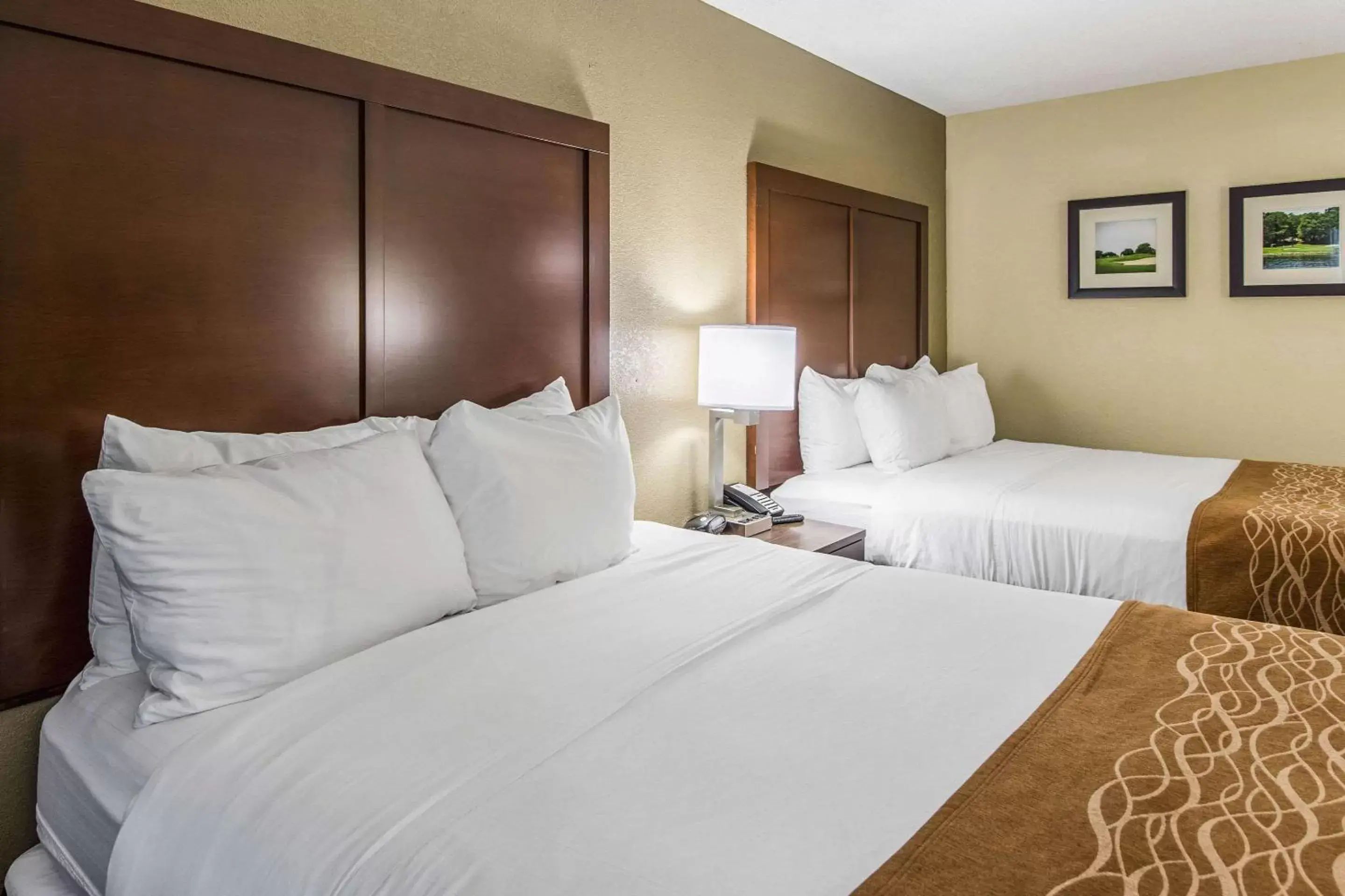 Queen Room with Two Queen Beds - Non-Smoking in Comfort Inn & Suites Greenwood near University Queen Room with Two Queen Beds - Non-Smoking in Comfort Inn & Suites Greenwood near University