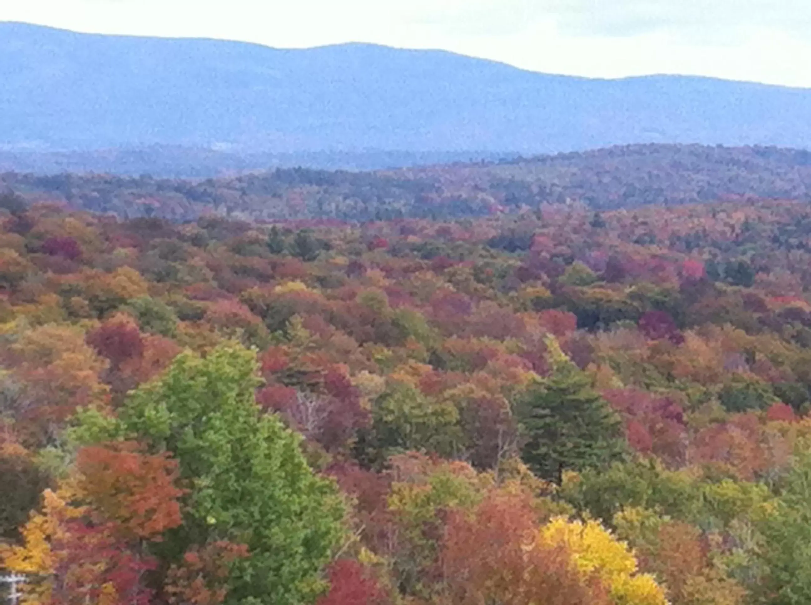 Double Valley View Room in Lodge at Bromley Double Valley View Room in Lodge at Bromley