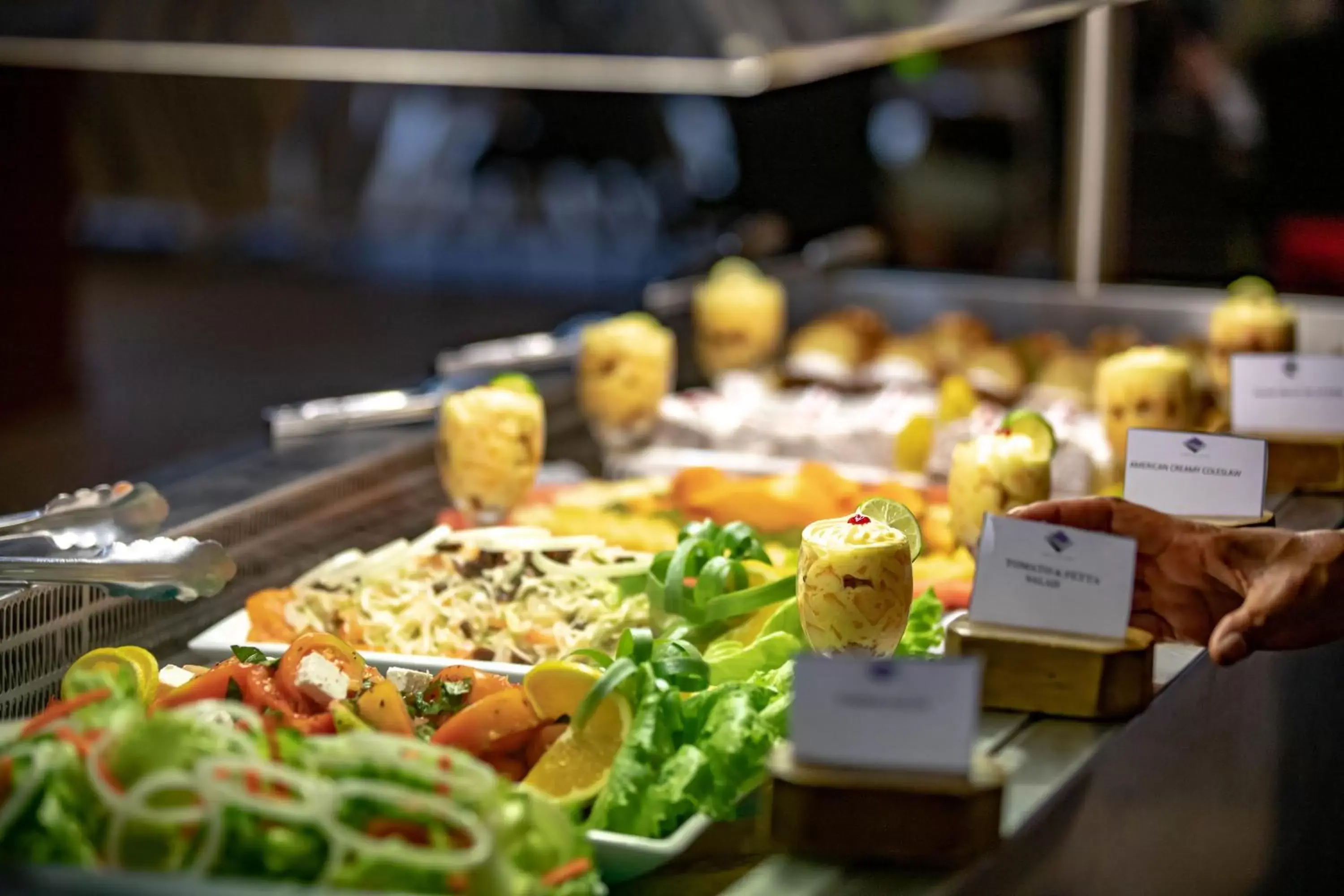 Bird Of Paradise Hotel Bird Of Paradise Hotel