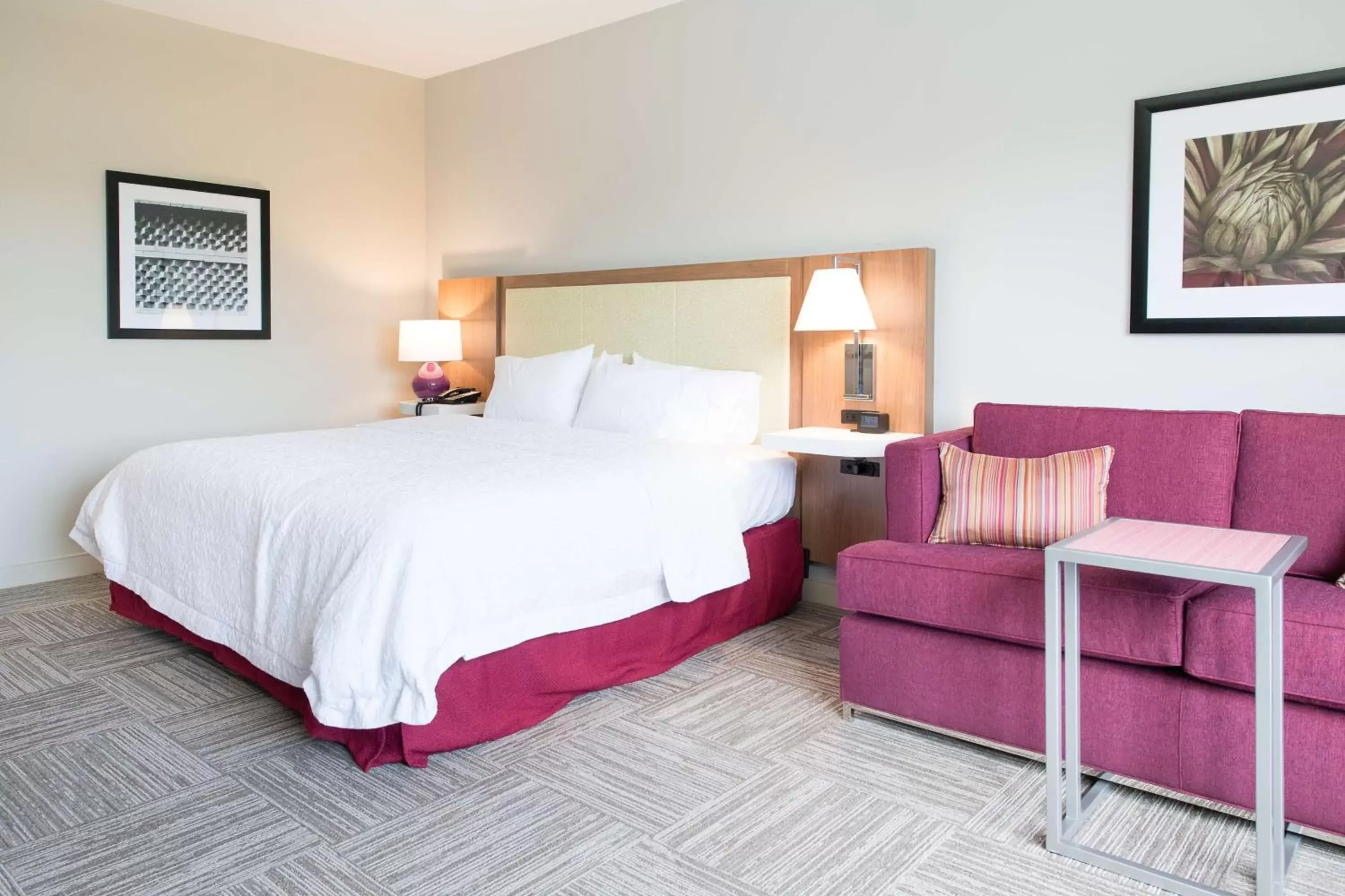 King Studio Suite with Sofabed- Hearing Accessible in Hampton Inn & Suites Walterboro King Studio Suite with Sofabed- Hearing Accessible in Hampton Inn & Suites Walterboro