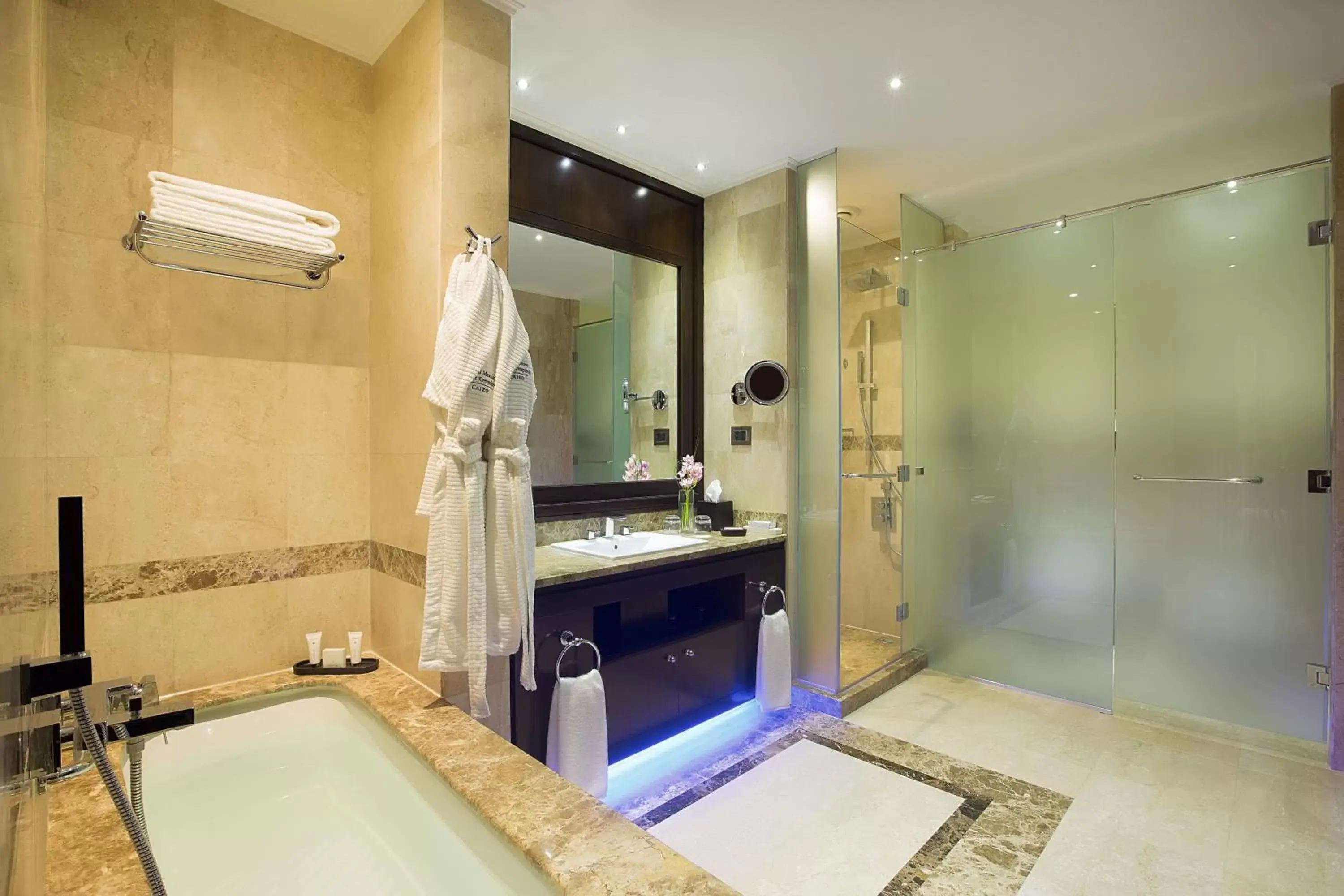 Deluxe Pool Room in Royal Maxim Palace Kempinski Cairo Deluxe Pool Room in Royal Maxim Palace Kempinski Cairo