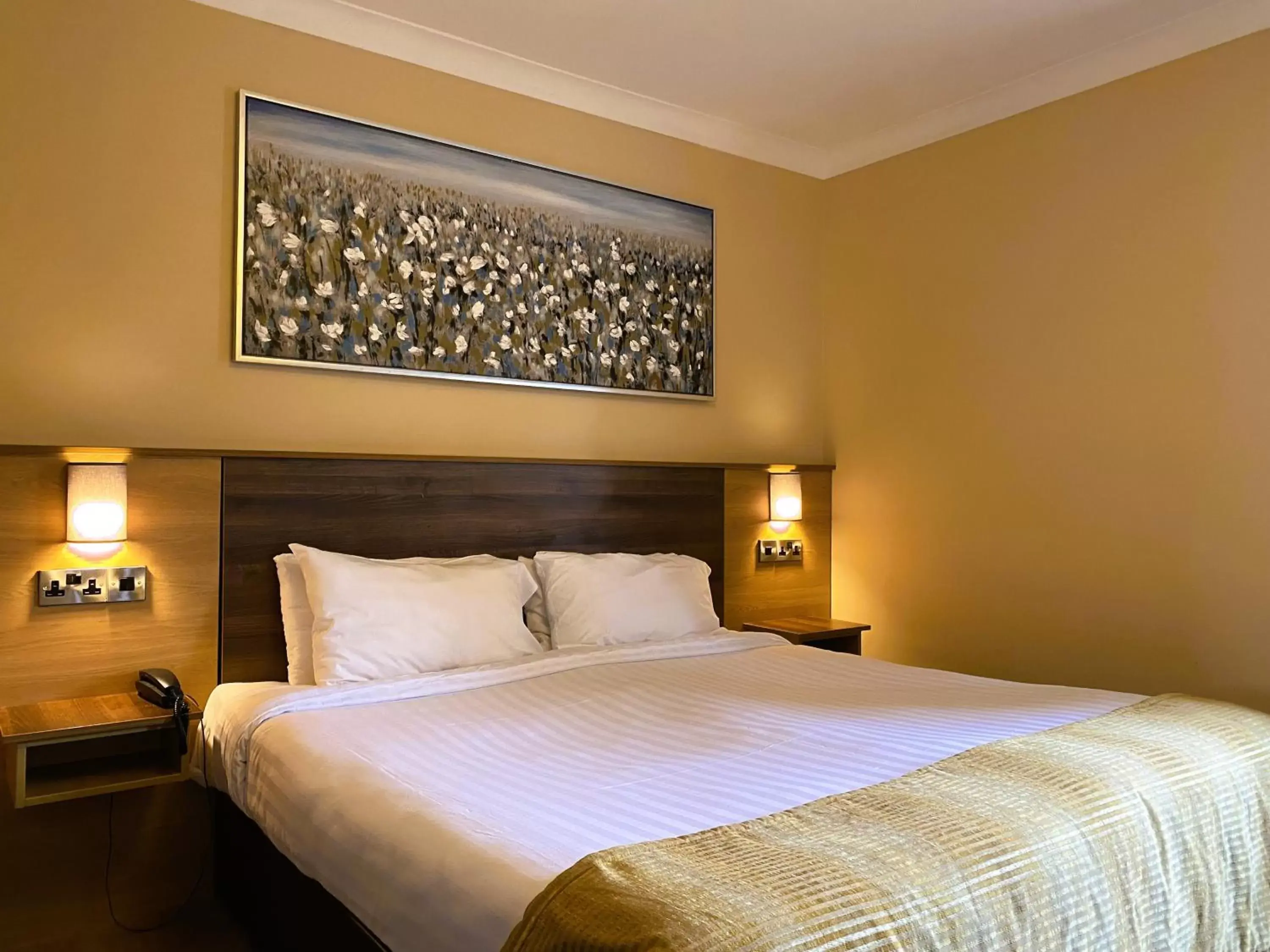 Single Room in Hannon's Hotel Single Room in Hannon's Hotel