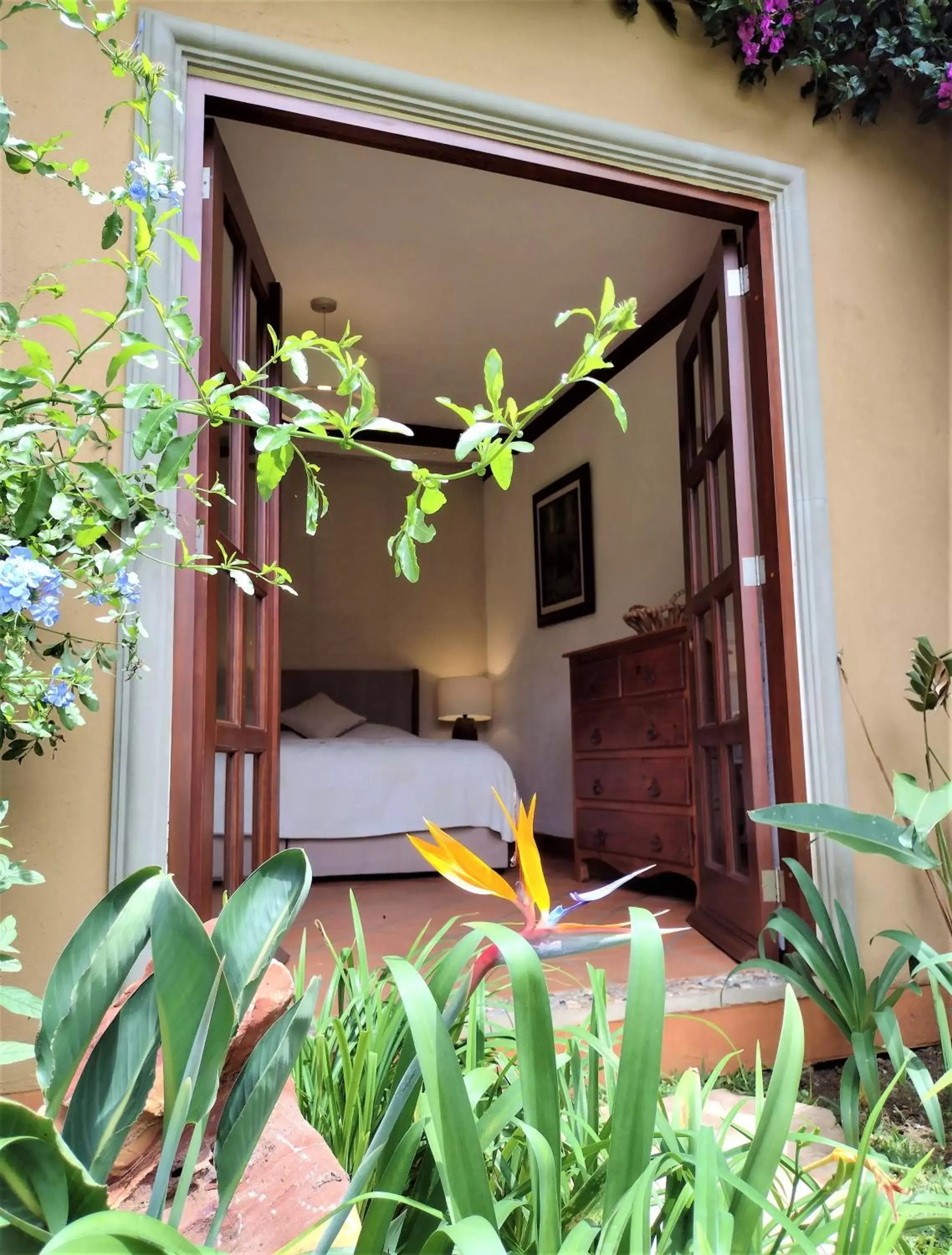 Deluxe Suite in Areté Deluxe Suite in Areté