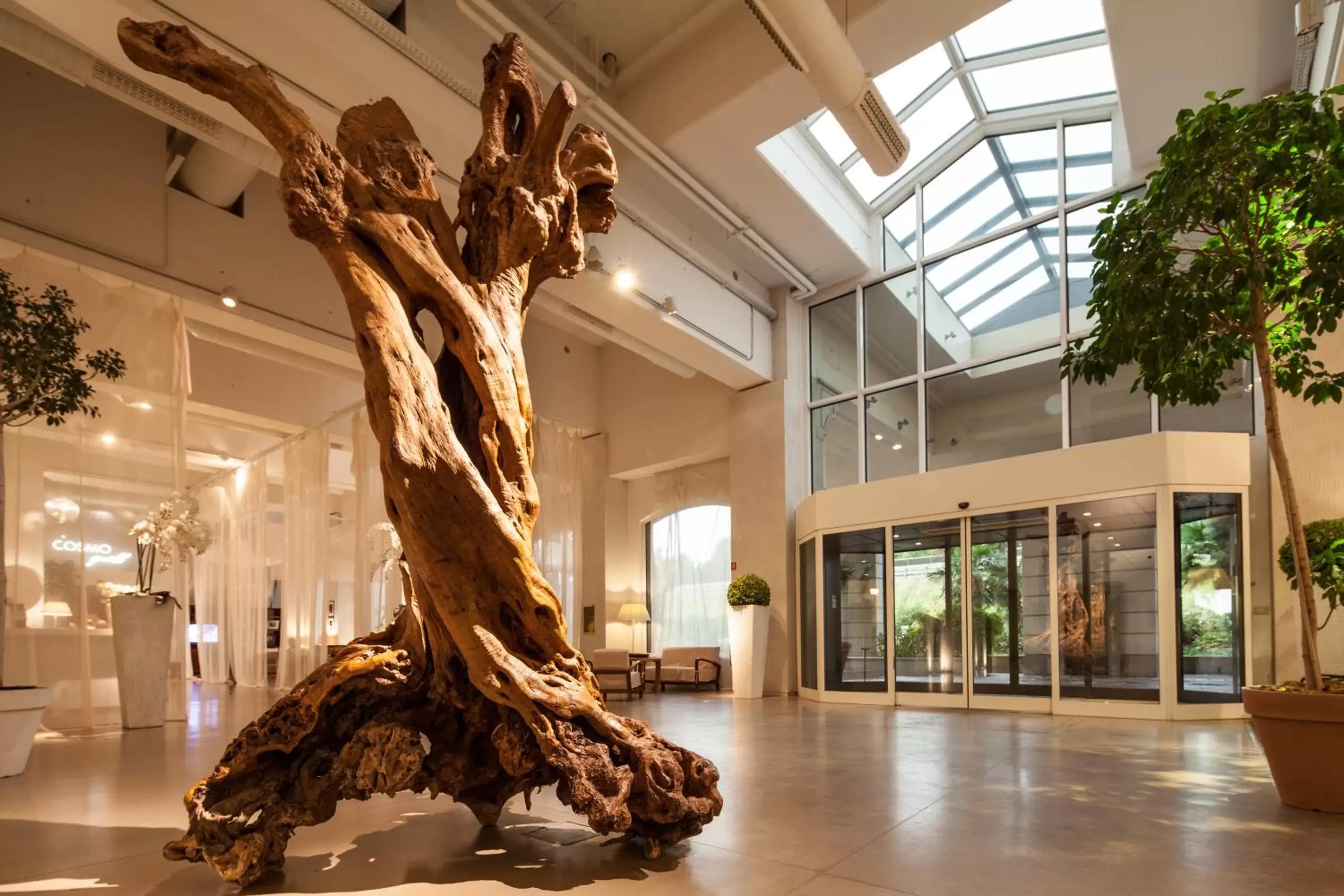 Cosmo Hotel Palace Cosmo Hotel Palace