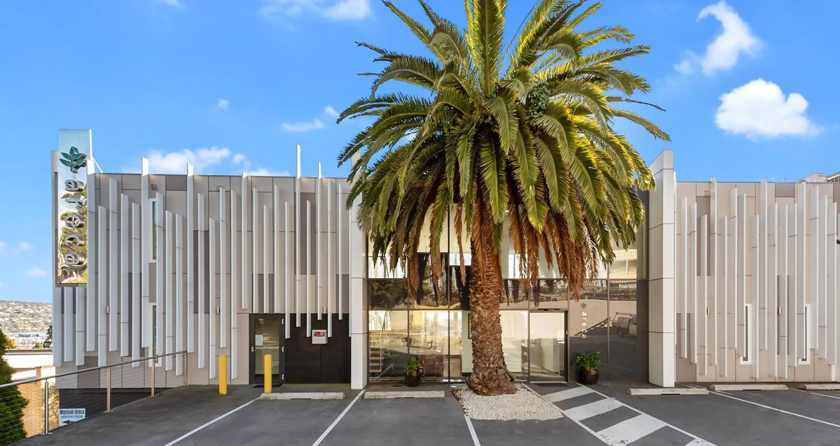 Areca Launceston Areca Launceston