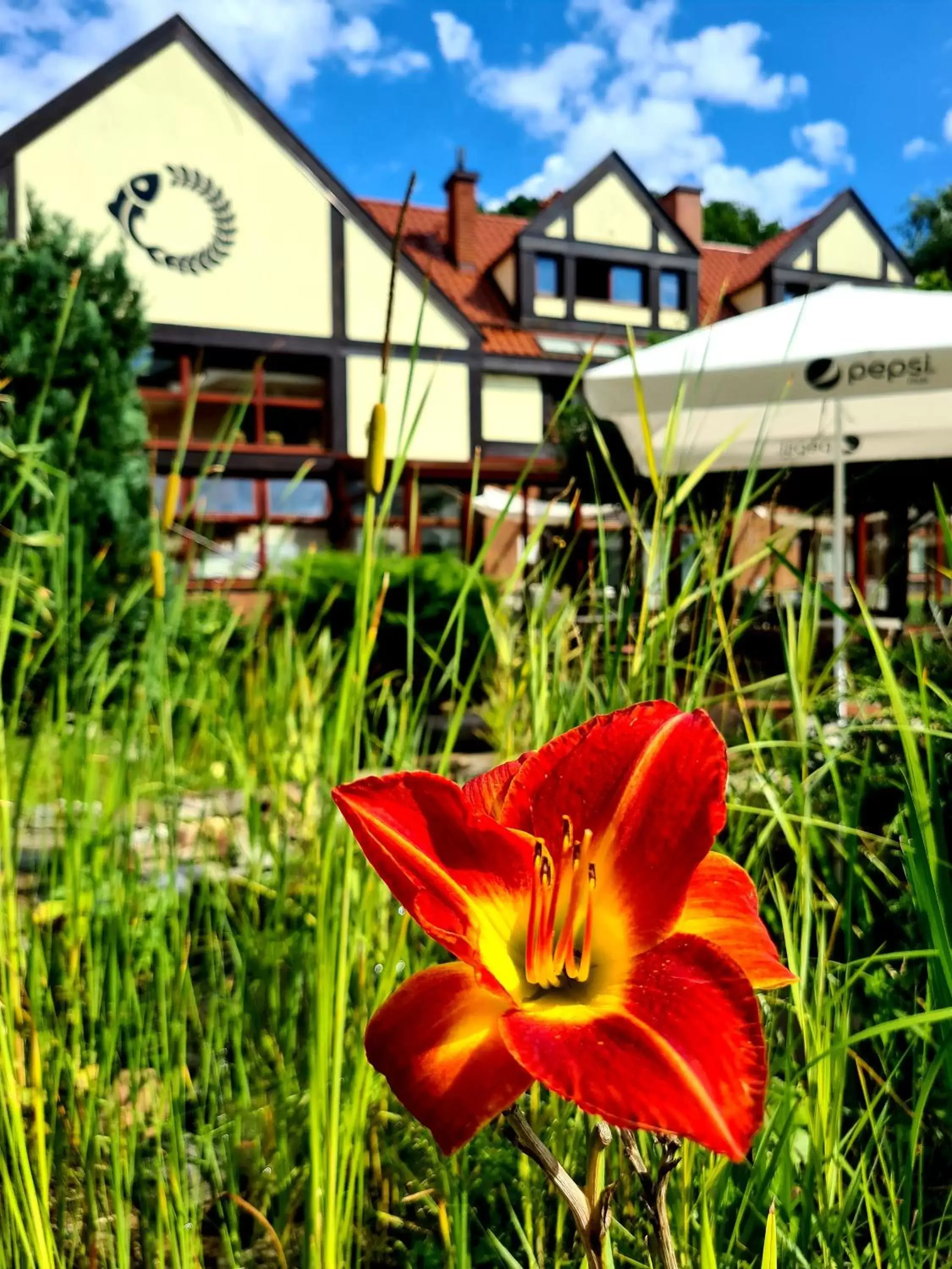 Triple Room with Garden View in Dom Oliwski Triple Room with Garden View in Dom Oliwski