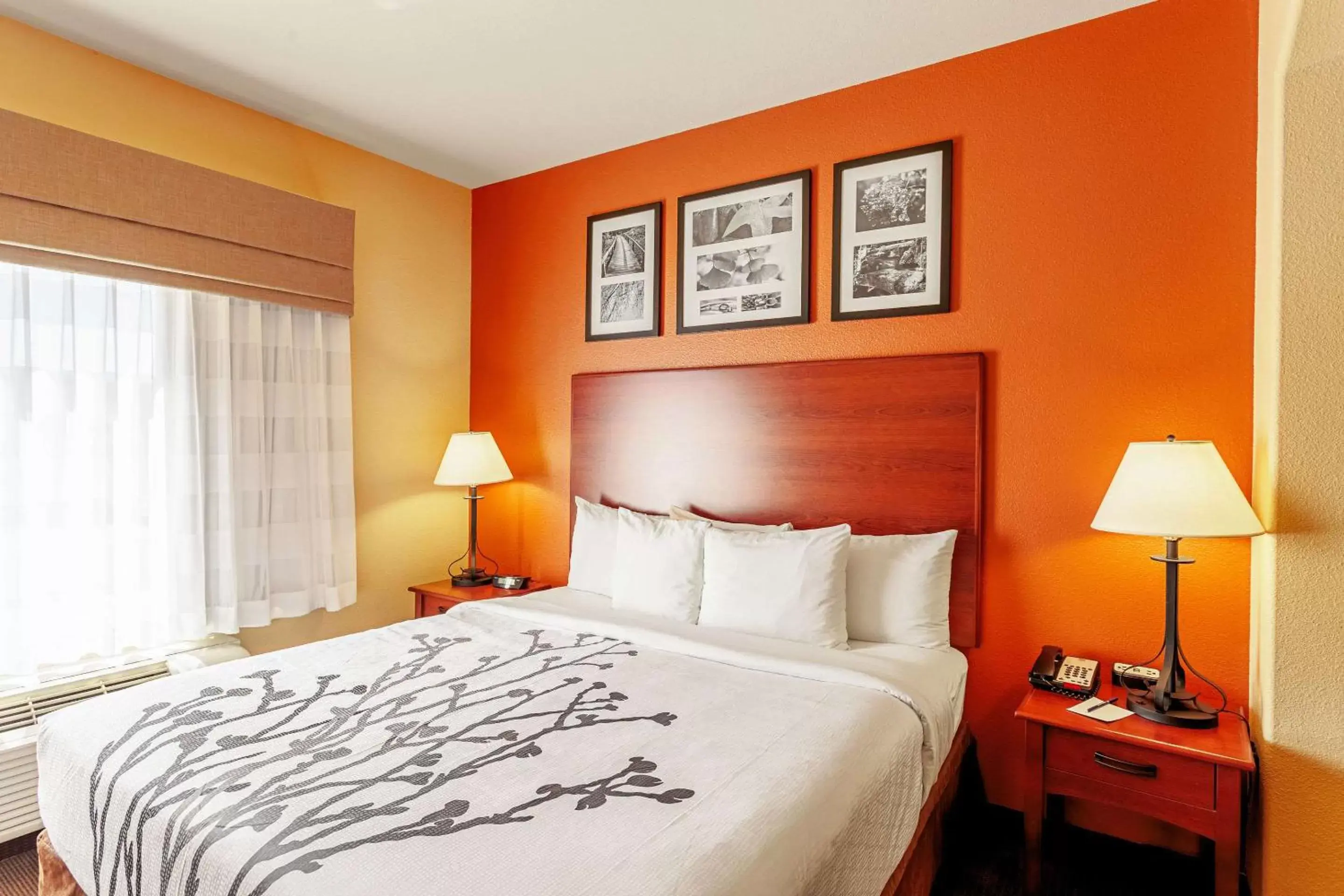 King Suite - Non-Smoking in Sleep Inn & Suites Tyler King Suite - Non-Smoking in Sleep Inn & Suites Tyler