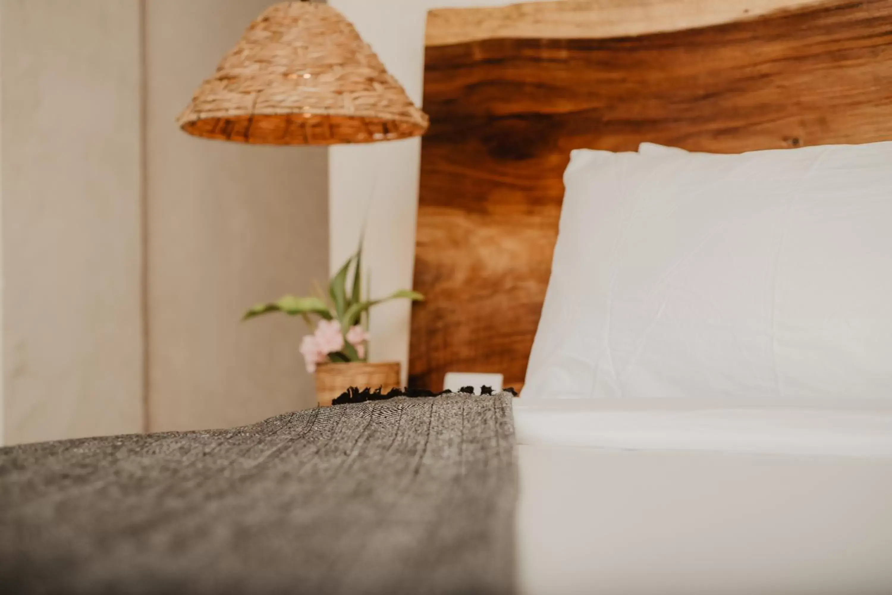 Partial Ocean View Suite in Akkuun Tulum - Adults Only Partial Ocean View Suite in Akkuun Tulum - Adults Only