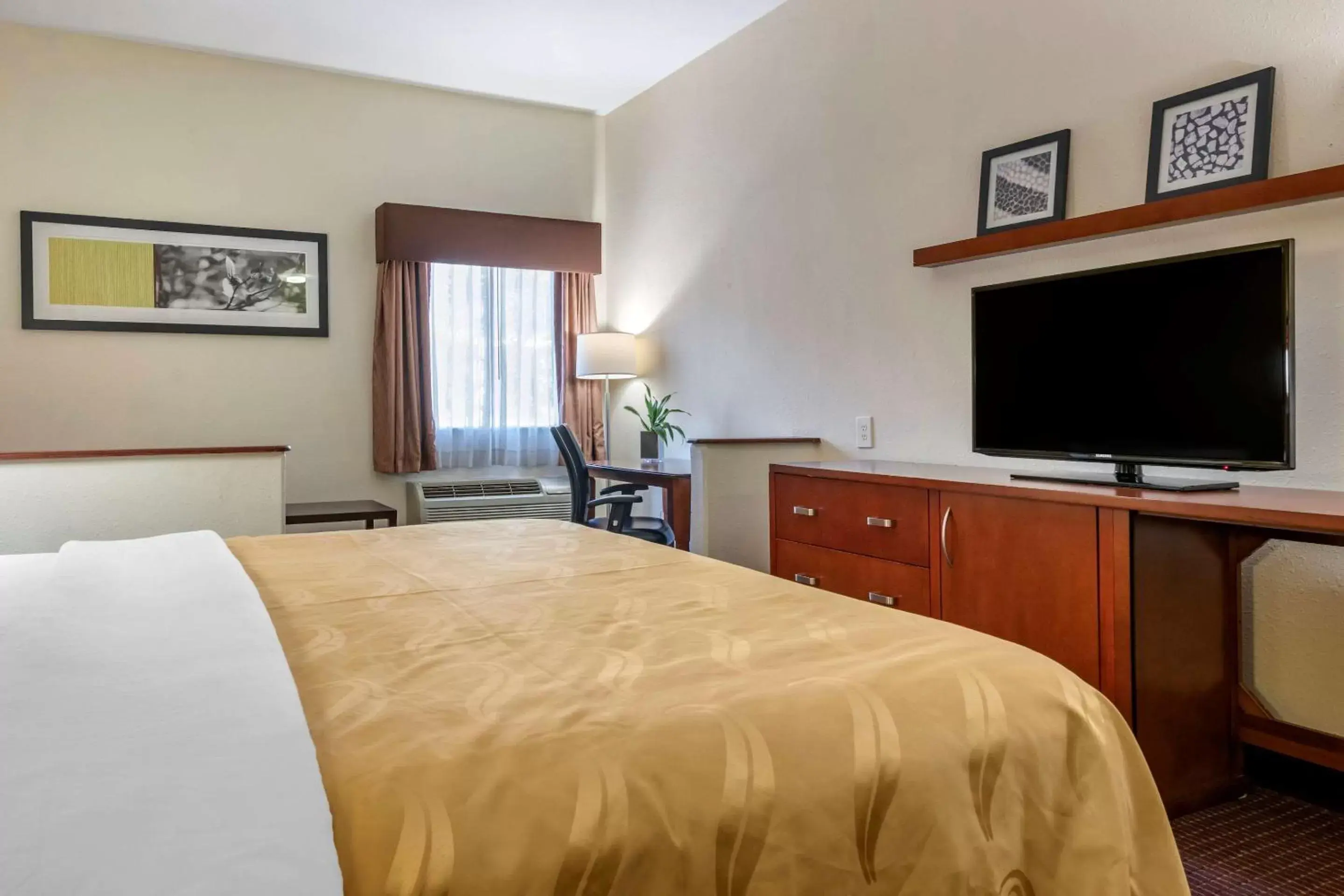 King Room - Accessible/Non-Smoking in Quality Inn Zephyrhills-Dade City King Room - Accessible/Non-Smoking in Quality Inn Zephyrhills-Dade City