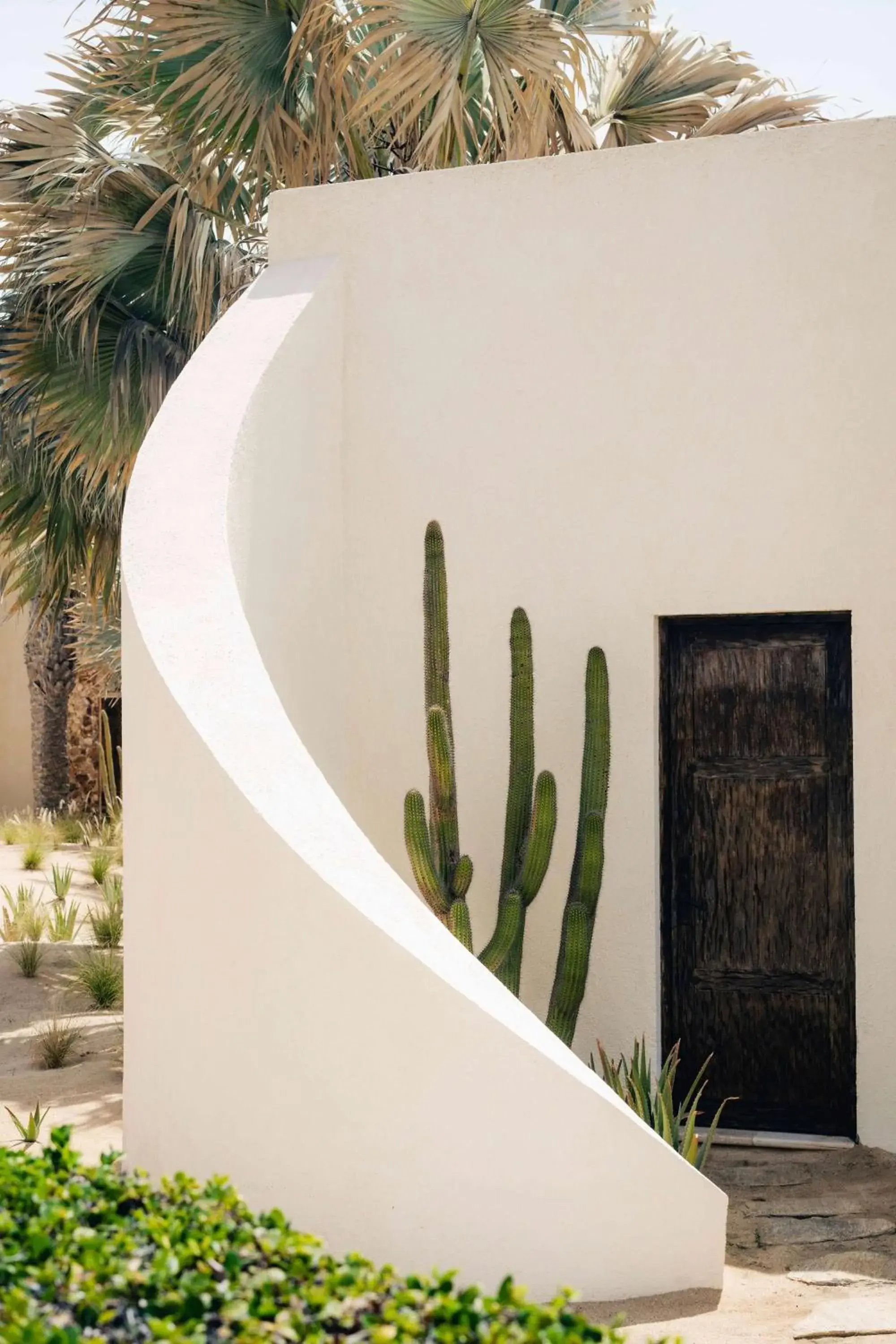 One-Bedroom Premium Suite - Beachfront in Waldorf Astoria Los Cabos Pedregal One-Bedroom Premium Suite - Beachfront in Waldorf Astoria Los Cabos Pedregal