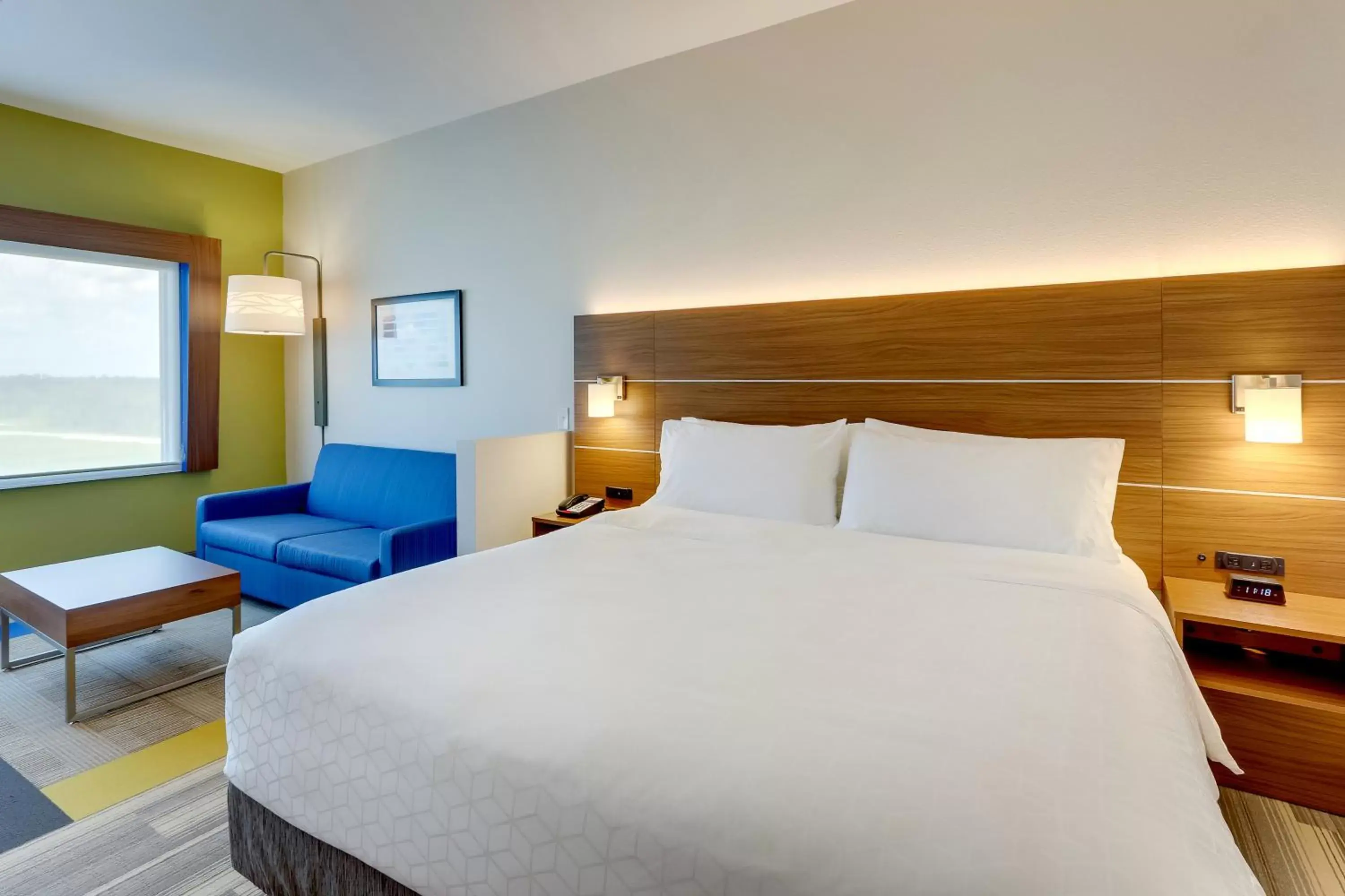 Accessible-Suite with One King Bed and Roll-In Shower - Non-Smoking in Holiday Inn Express - Wilmington - Porters Neck by IHG Accessible-Suite with One King Bed and Roll-In Shower - Non-Smoking in Holiday Inn Express - Wilmington - Porters Neck by IHG