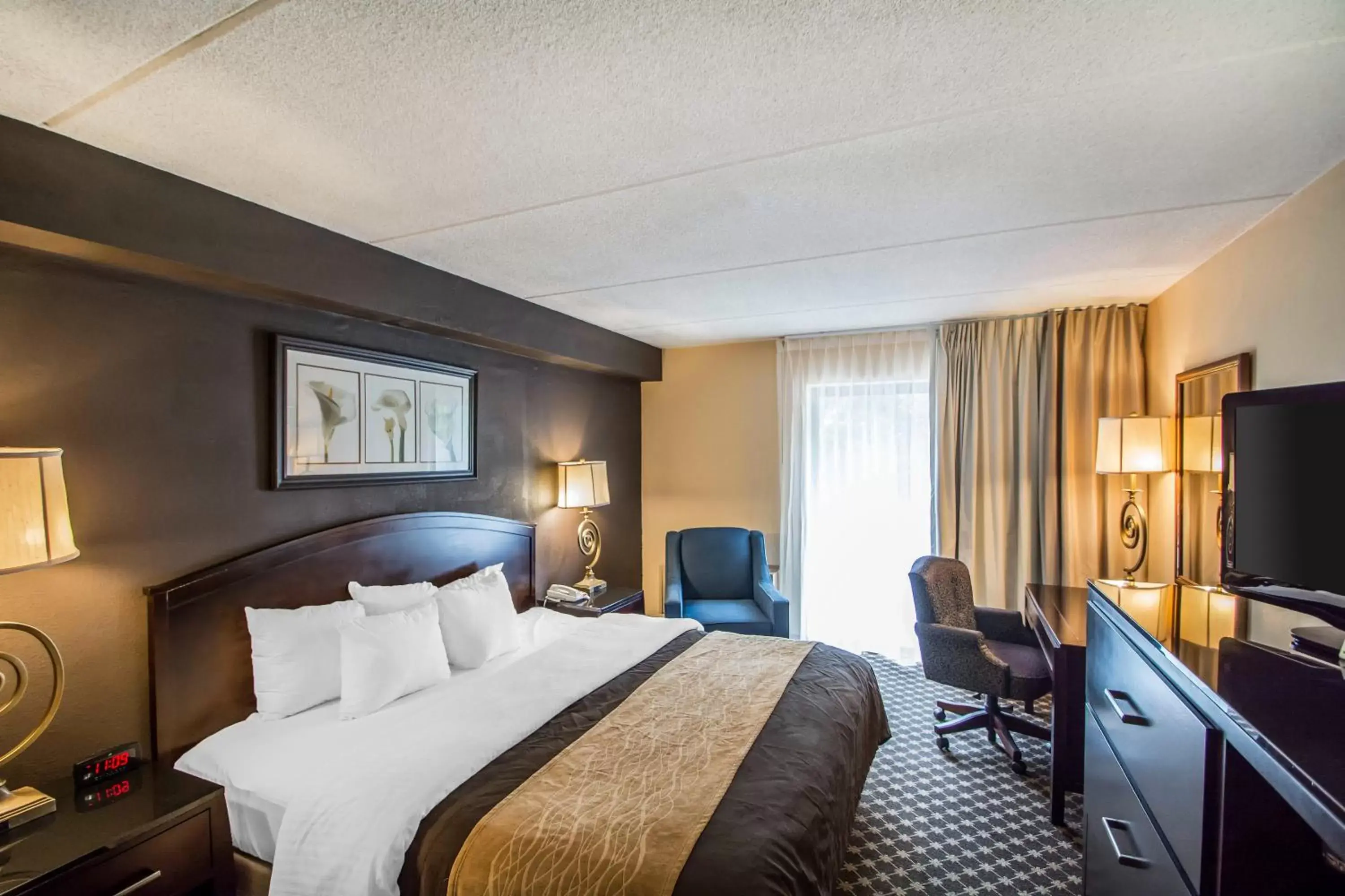 King Room - Non-Smoking in Quality Inn Ithaca - University Area King Room - Non-Smoking in Quality Inn Ithaca - University Area