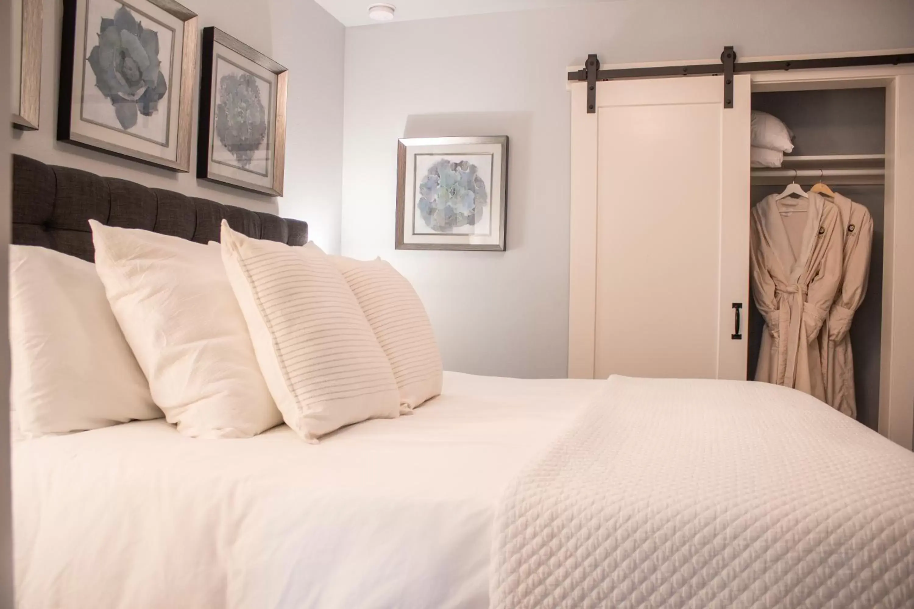 Deluxe King Suite in Douglas On Third Deluxe King Suite in Douglas On Third