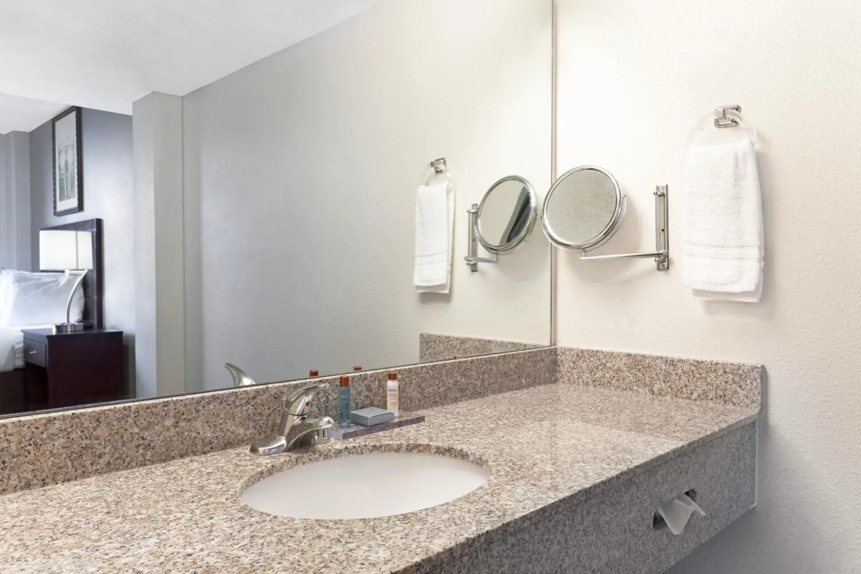 King Studio Suite - Smoking in Hawthorn Extended Stay by Wyndham Richardson King Studio Suite - Smoking in Hawthorn Extended Stay by Wyndham Richardson