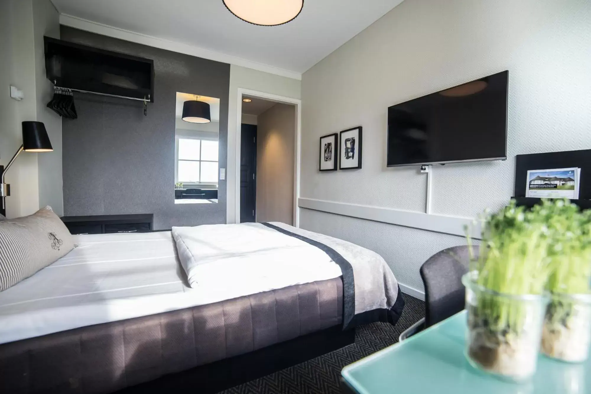 Single Room in Comwell Sorø Single Room in Comwell Sorø