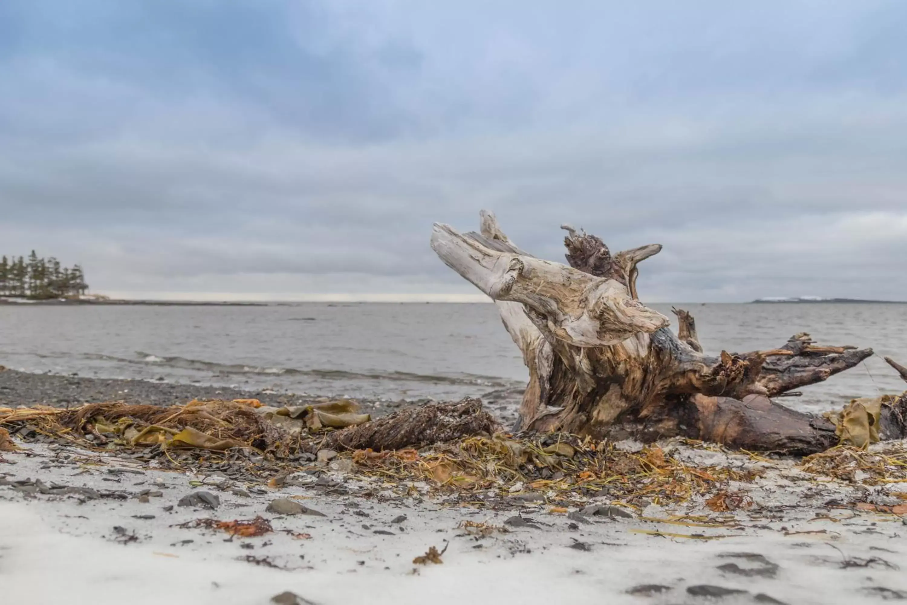 Double Room in Viking Lodge Motel Double Room in Viking Lodge Motel