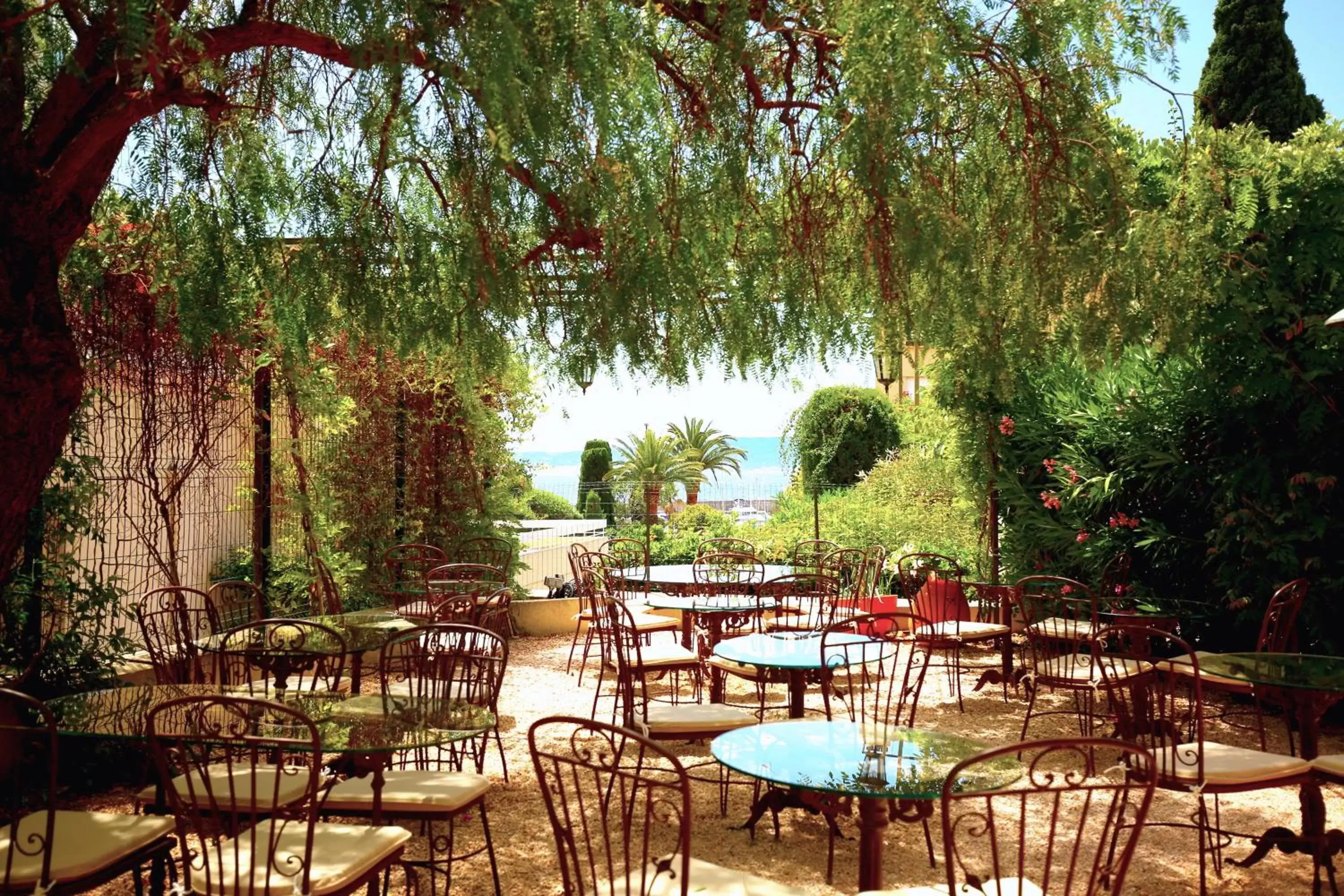 Garden, Restaurant/Places to Eat in Hotel Royal Bon Repos Garden, Restaurant/Places to Eat in Hotel Royal Bon Repos