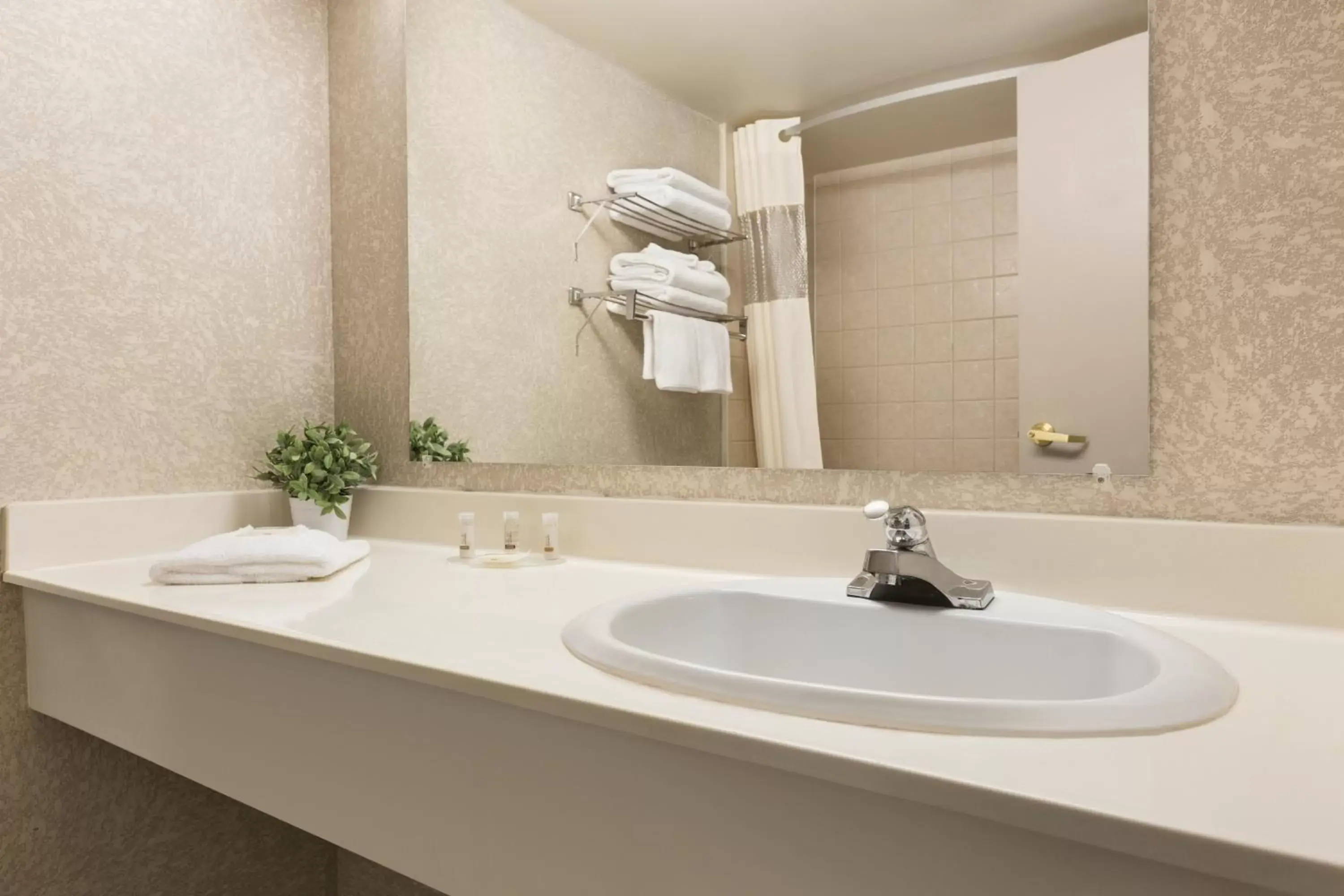 Business King Room - Non-Smoking in Days Inn by Wyndham Ottawa Airport Business King Room - Non-Smoking in Days Inn by Wyndham Ottawa Airport