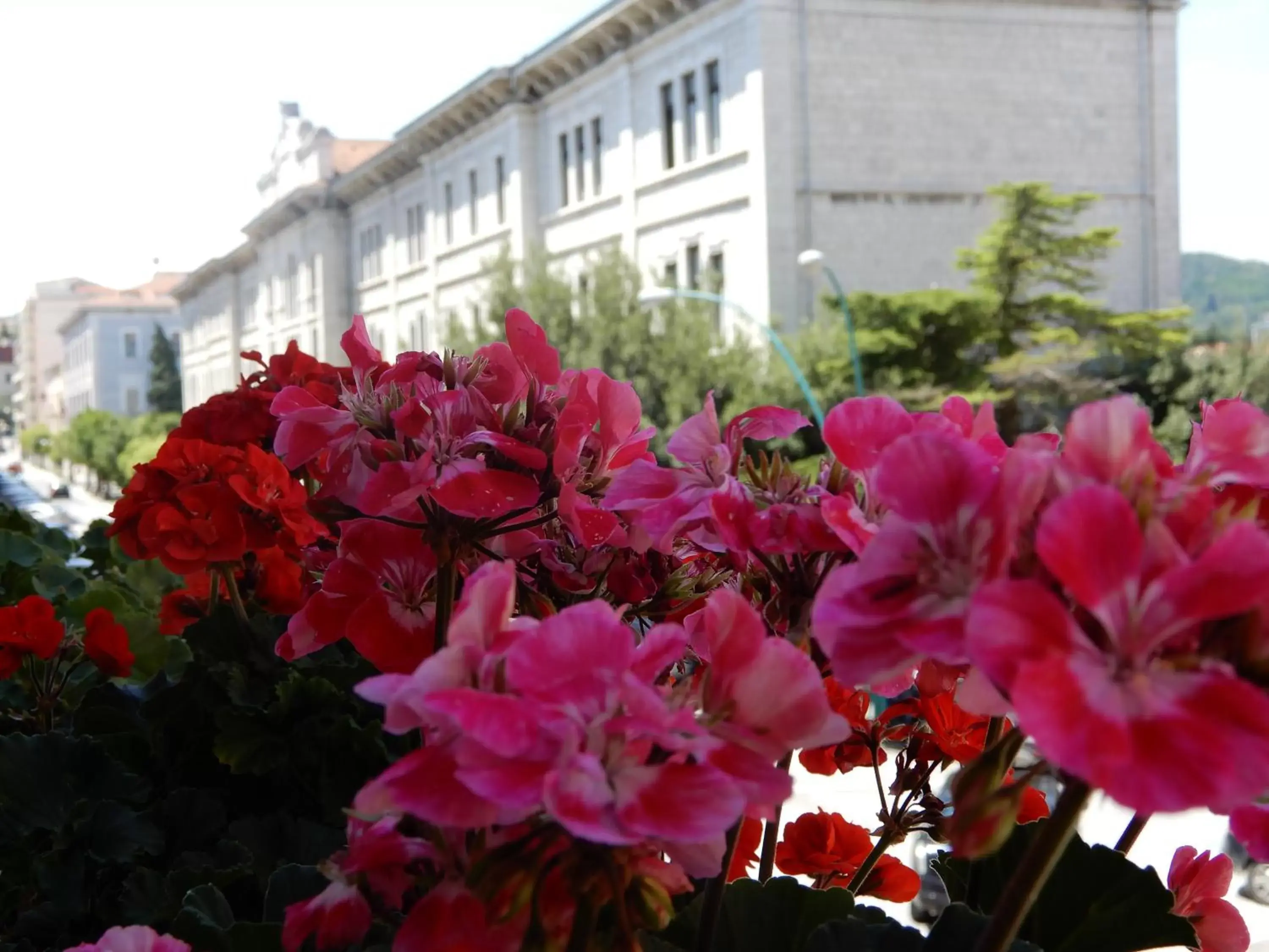 Luciano And Son Luciano And Son