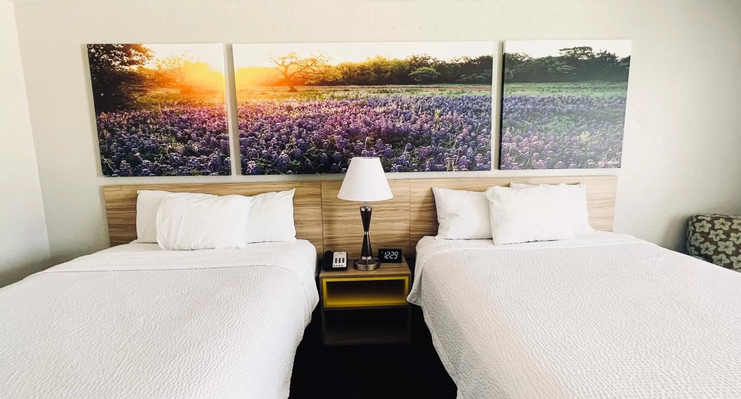 Queen Room with Two Queen Beds- Disability Access - Non-Smoking in Days Inn & Suites by Wyndham - Canton First Monday Trade Days Queen Room with Two Queen Beds- Disability Access - Non-Smoking in Days Inn & Suites by Wyndham - Canton First Monday Trade Days