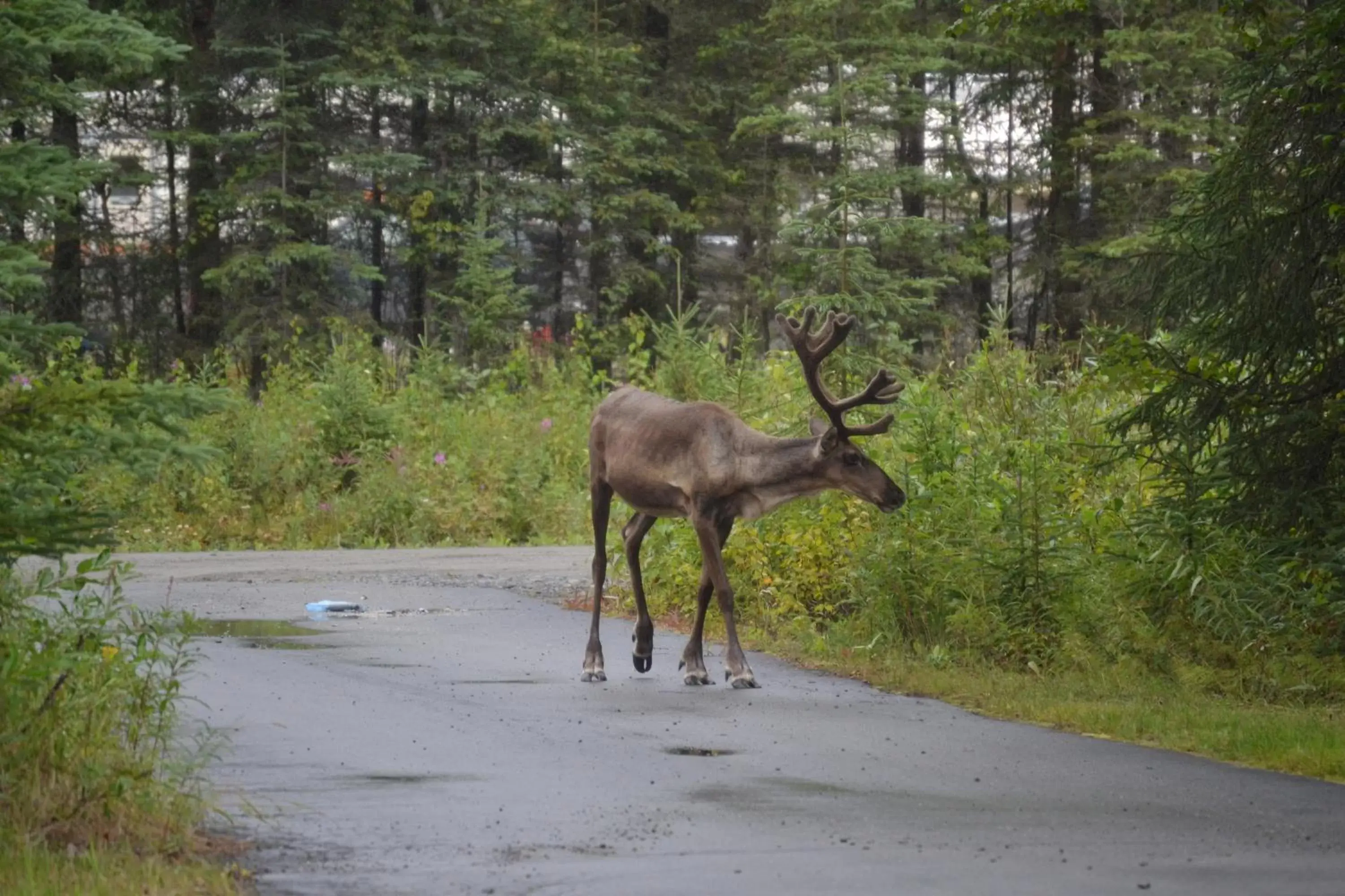 All Seasons B&B All Seasons B&B