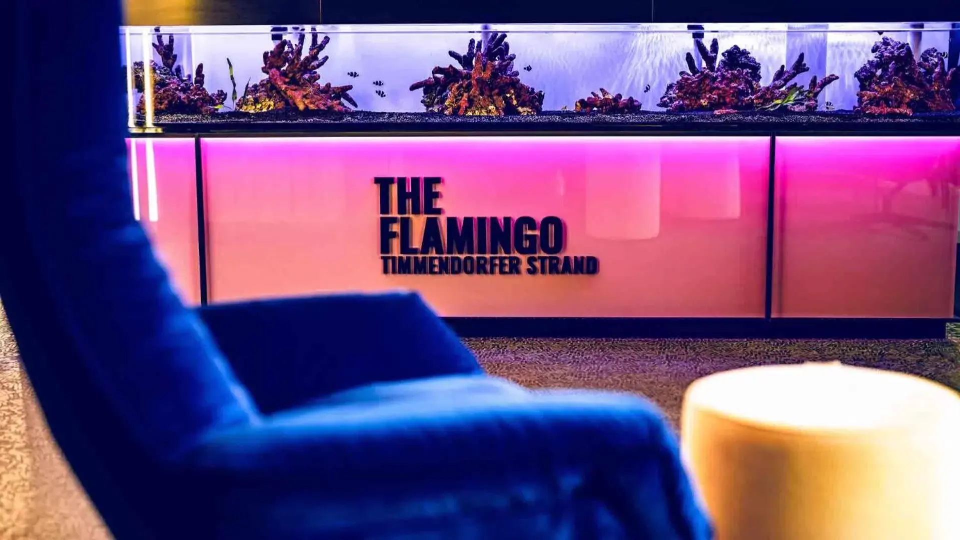 The Flamingo The Flamingo