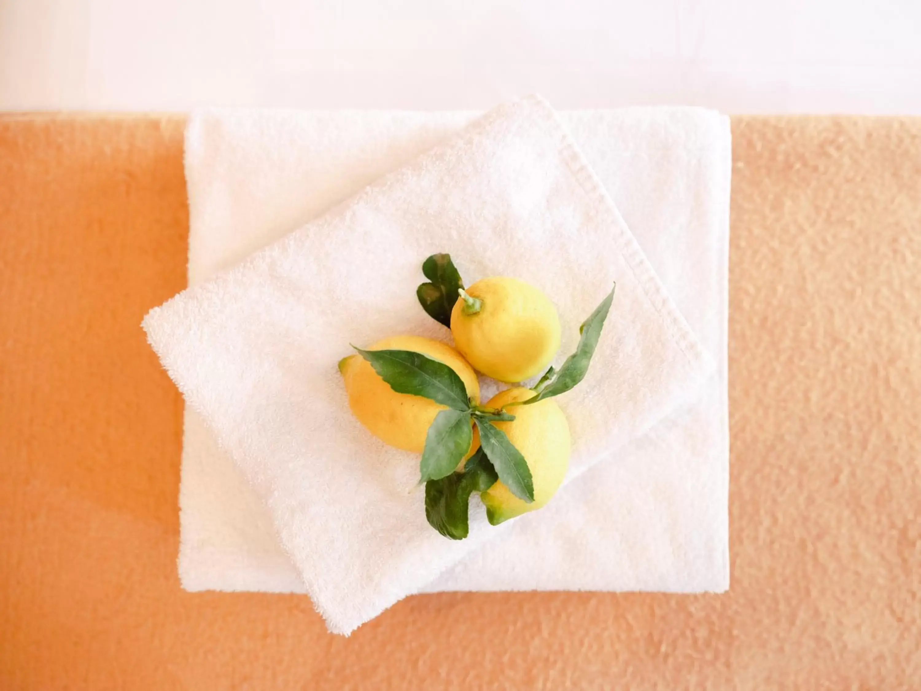 Single Room in Hotel Lemon Single Room in Hotel Lemon