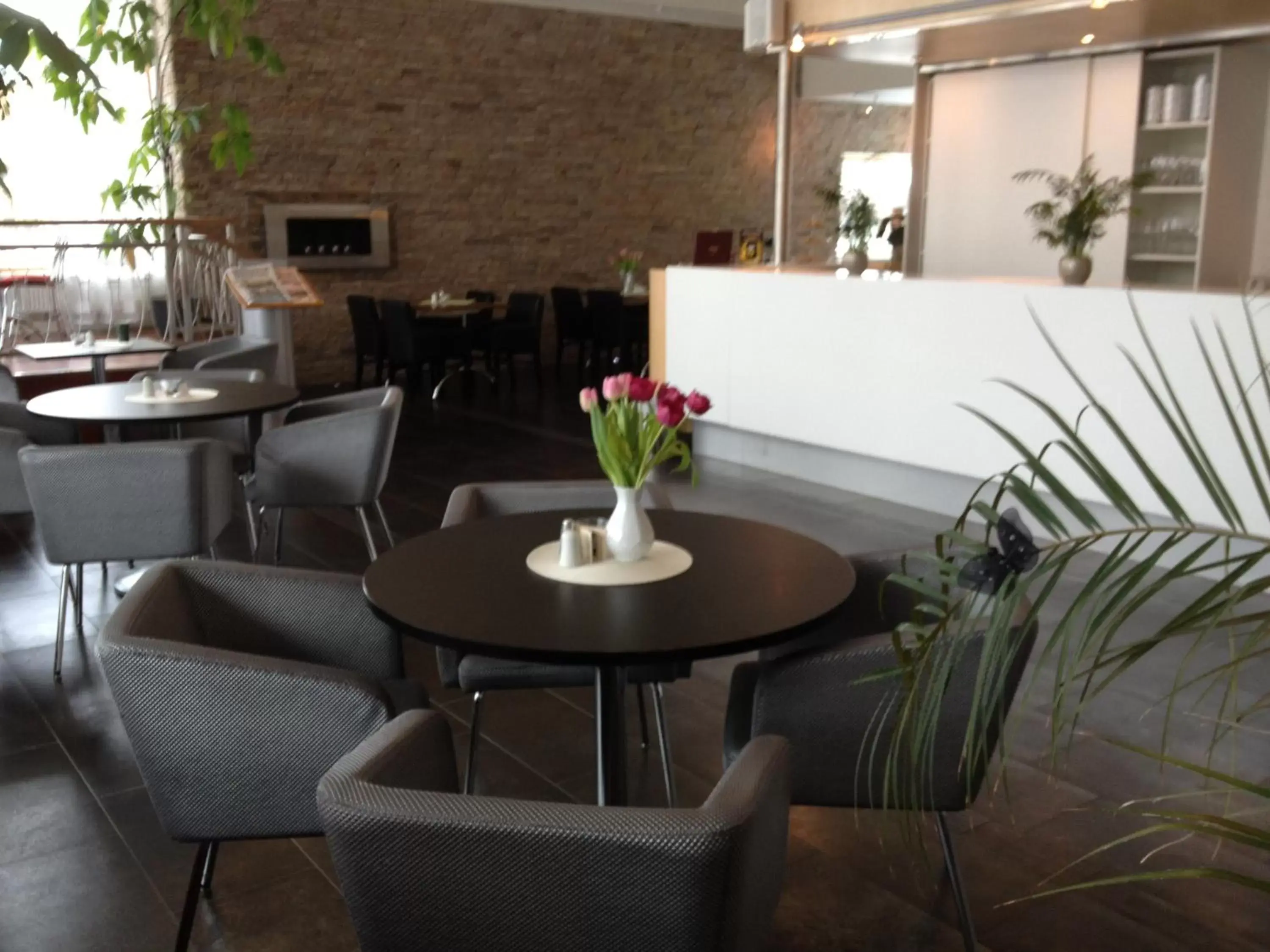 Arena Hotell Arena Hotell