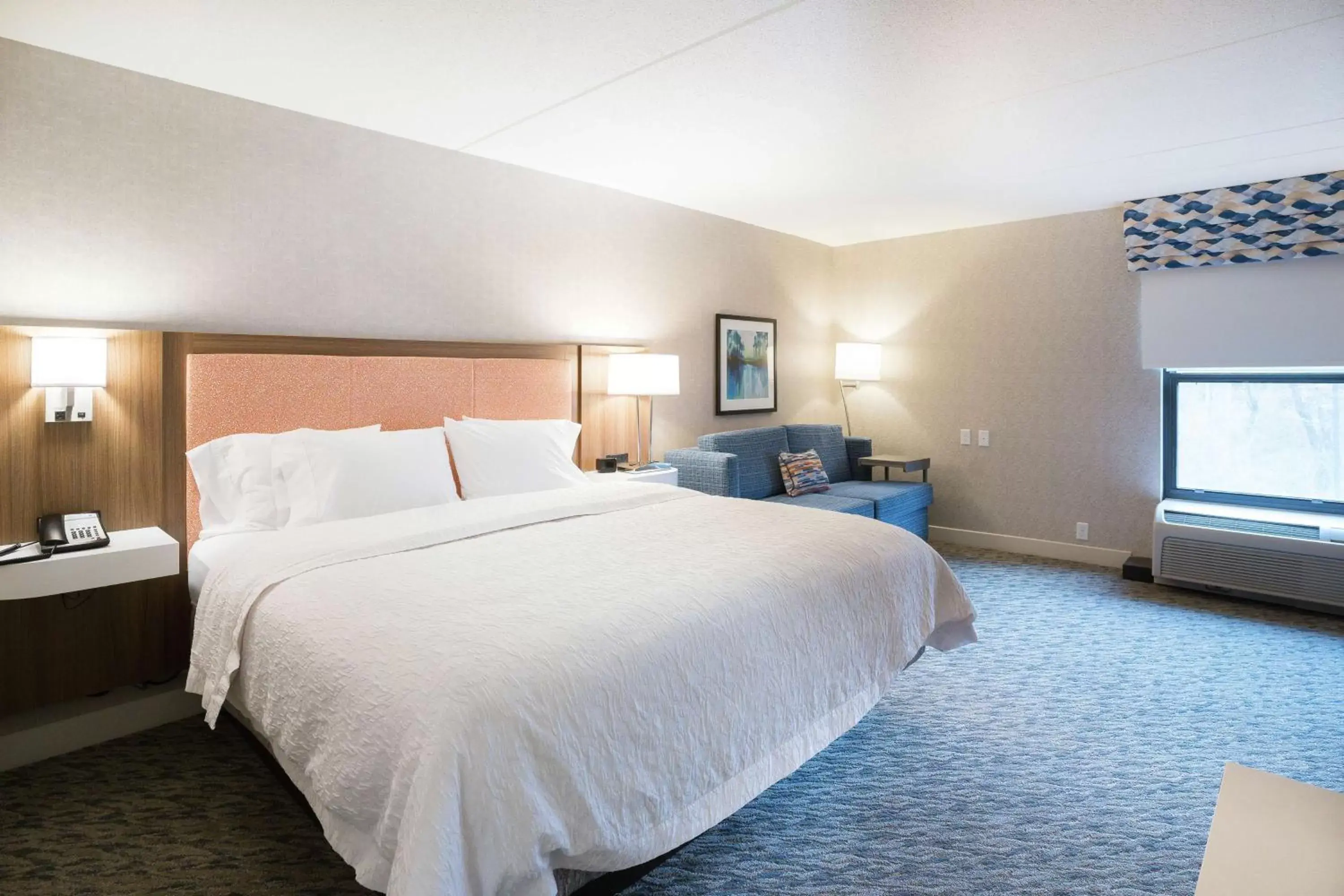 Large Double Room in Hampton Inn Clarks Summit Large Double Room in Hampton Inn Clarks Summit