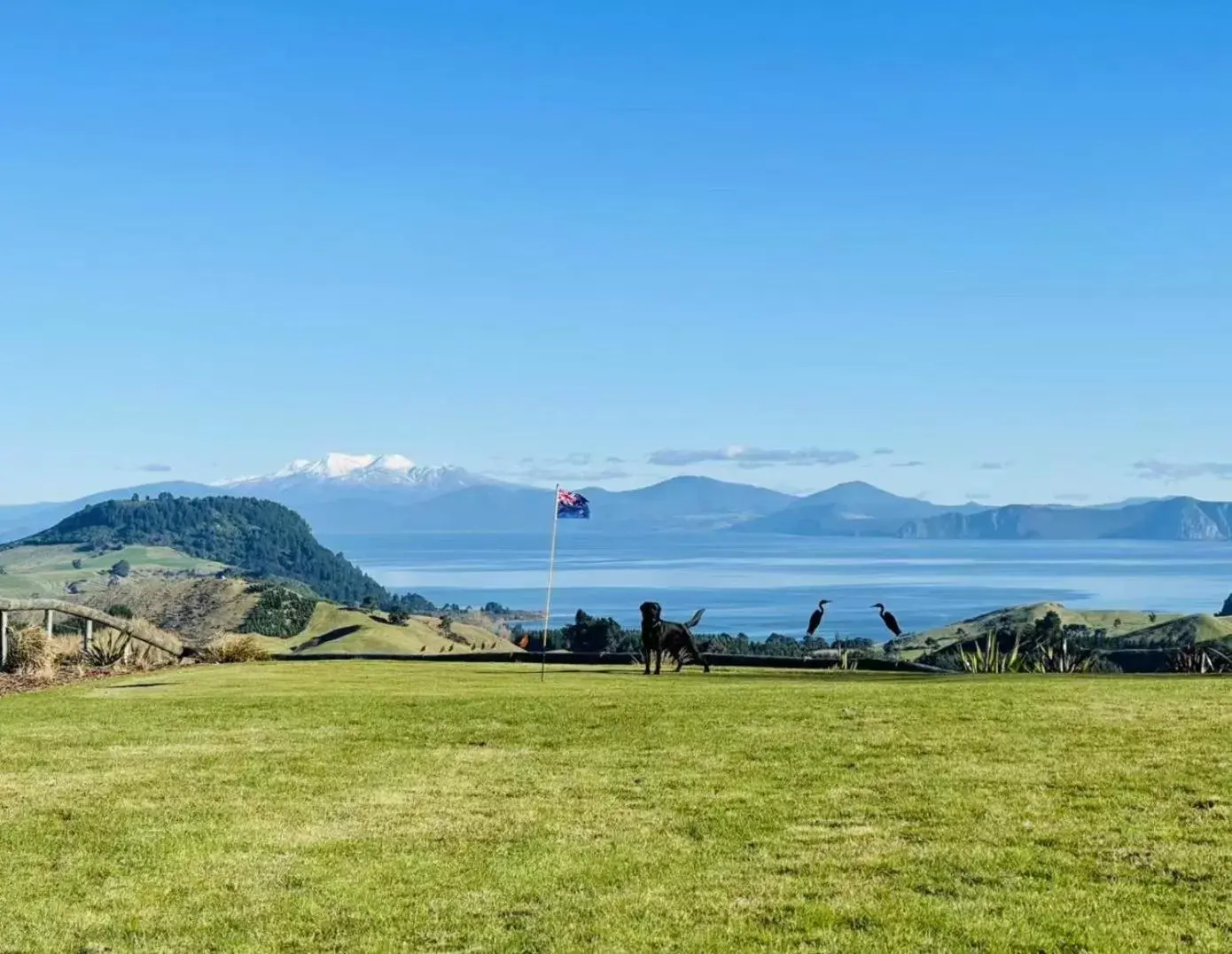 Hilltop Whakaipo Estate Hilltop Whakaipo Estate