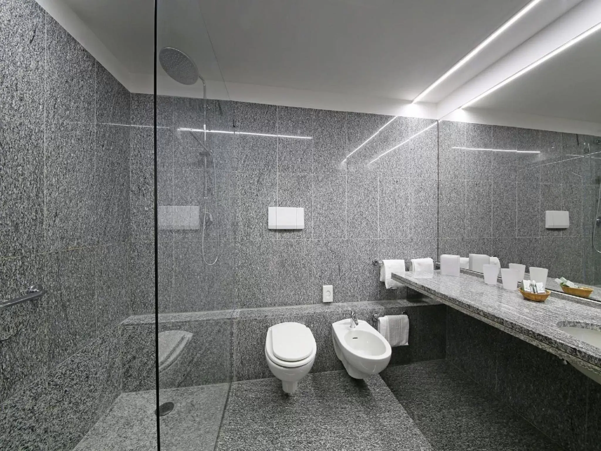 Prestige Double Room with Balcony and Lake View - single occupancy in Hotel Salò du Parc Prestige Double Room with Balcony and Lake View - single occupancy in Hotel Salò du Parc