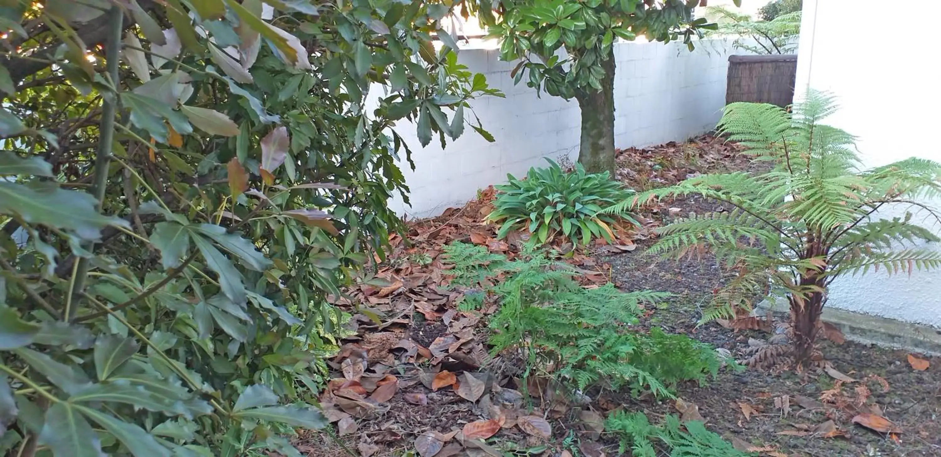 Shadzz Motel Shadzz Motel