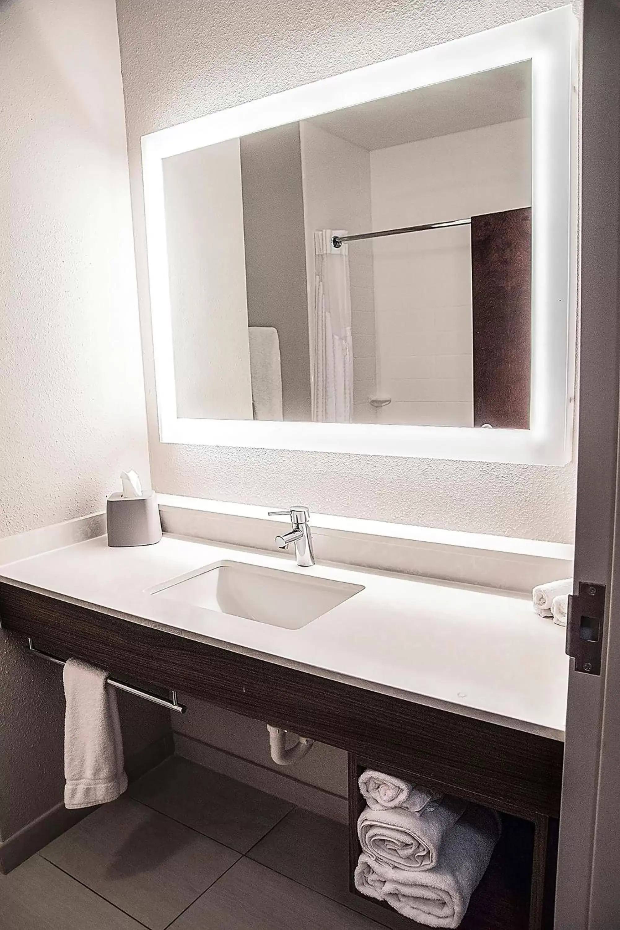 Standard King Room with Mobility Accessible Roll-In Shower in Holiday Inn Express & Suites Alexandria by IHG Standard King Room with Mobility Accessible Roll-In Shower in Holiday Inn Express & Suites Alexandria by IHG
