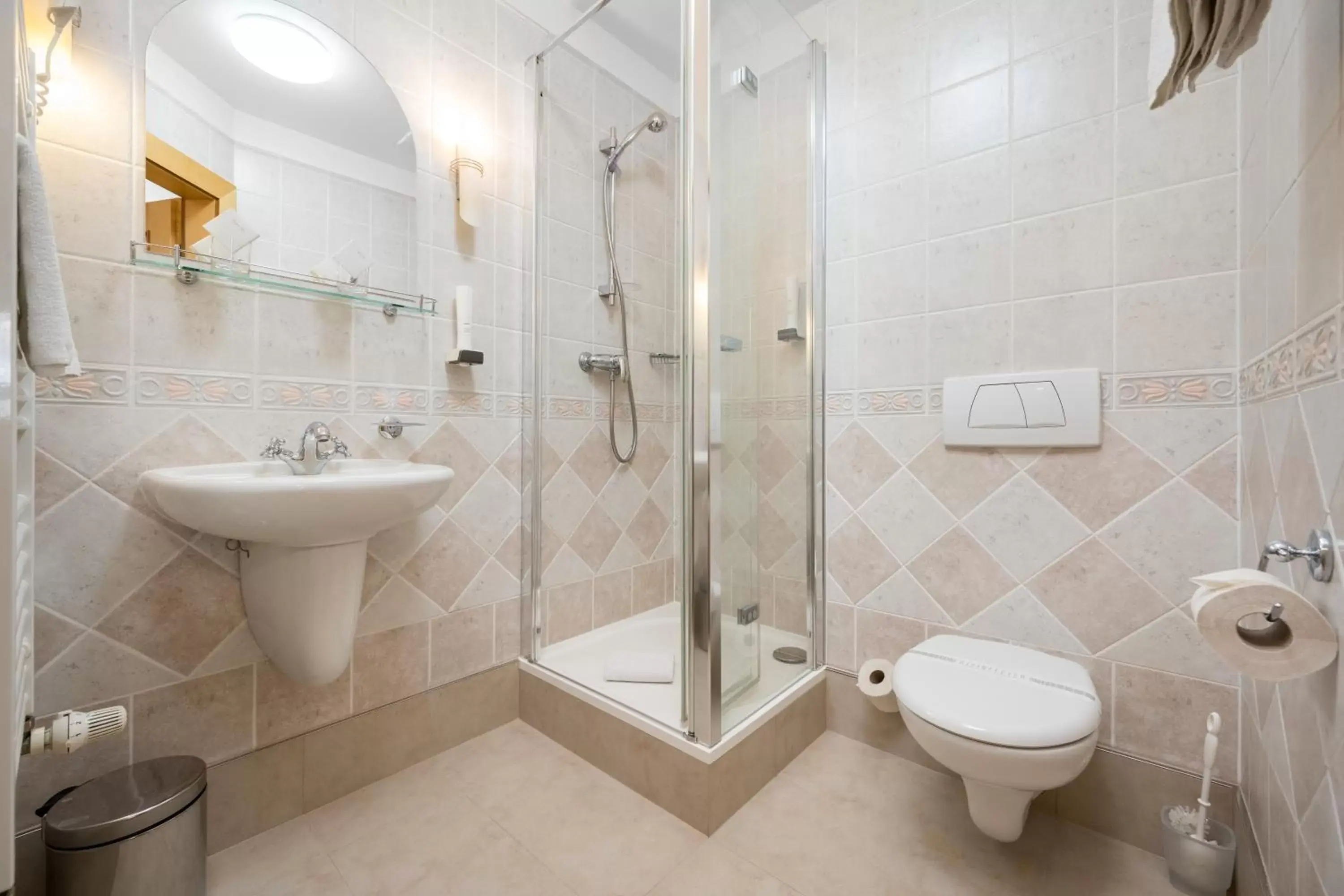 Double Room - single occupancy in Hotel Zlaty Lev Double Room - single occupancy in Hotel Zlaty Lev