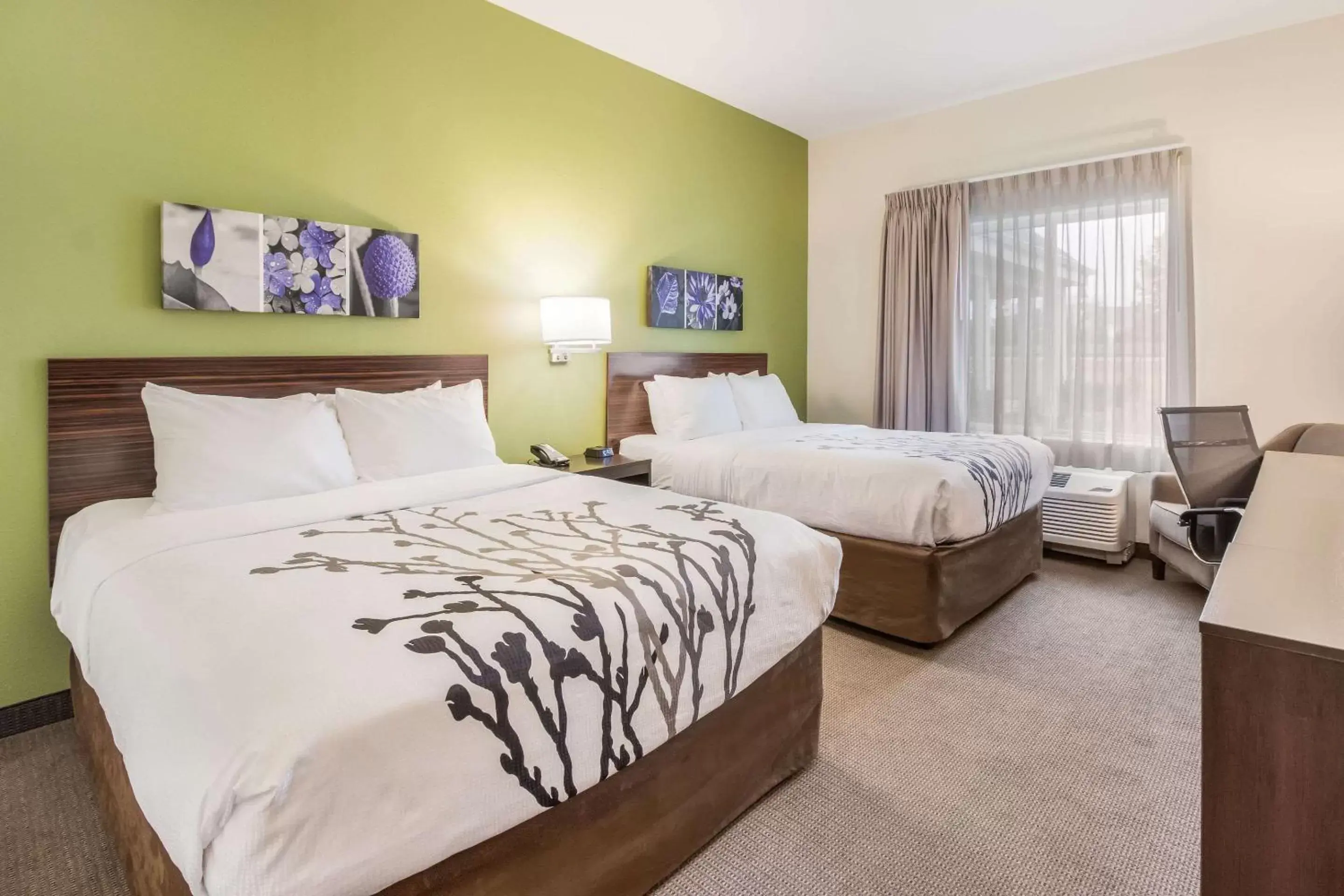 Queen Room with Two Queen Beds - Non-Smoking in Sleep Inn Queen Room with Two Queen Beds - Non-Smoking in Sleep Inn