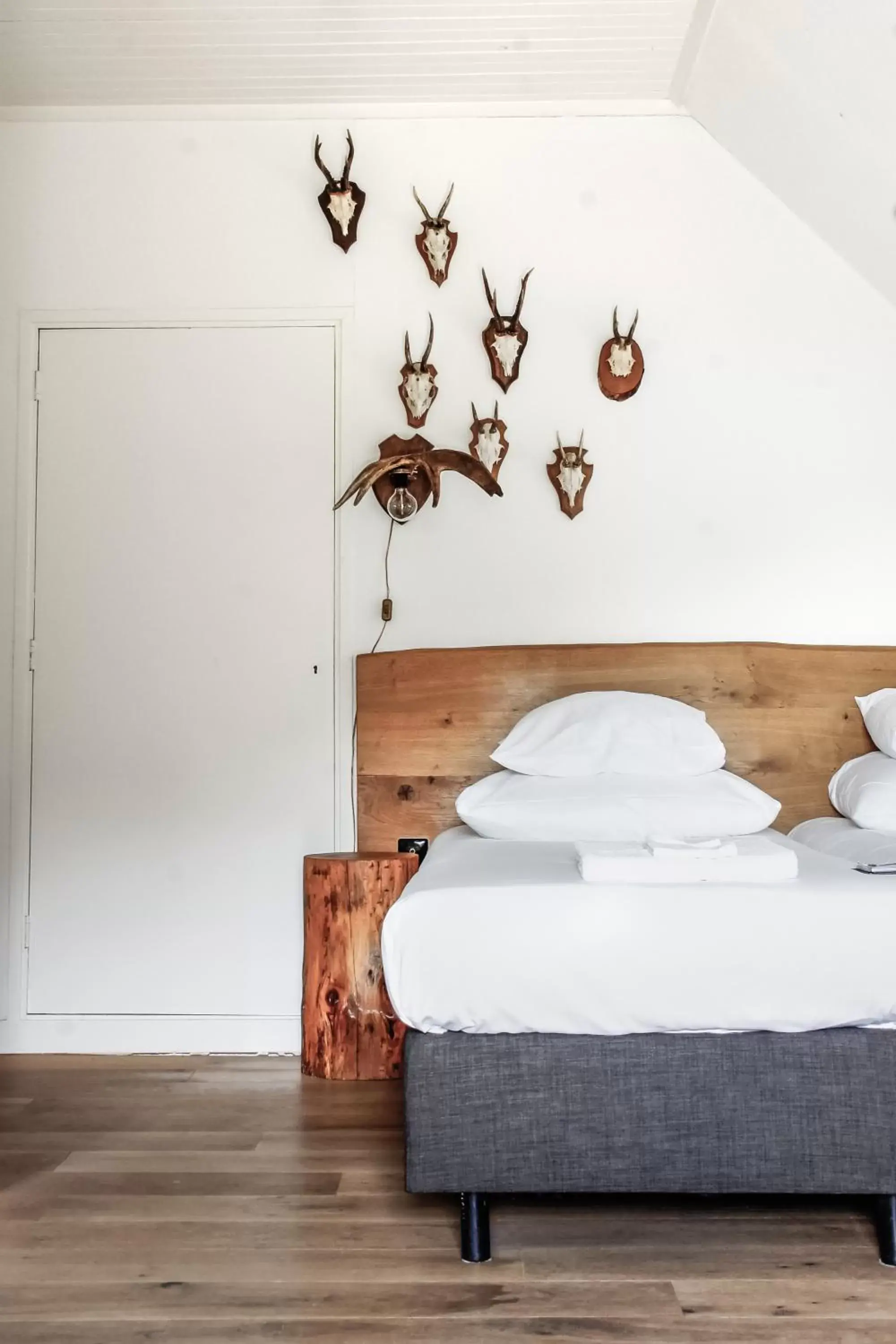 Deluxe Room in de Lochemse Berg Deluxe Room in de Lochemse Berg