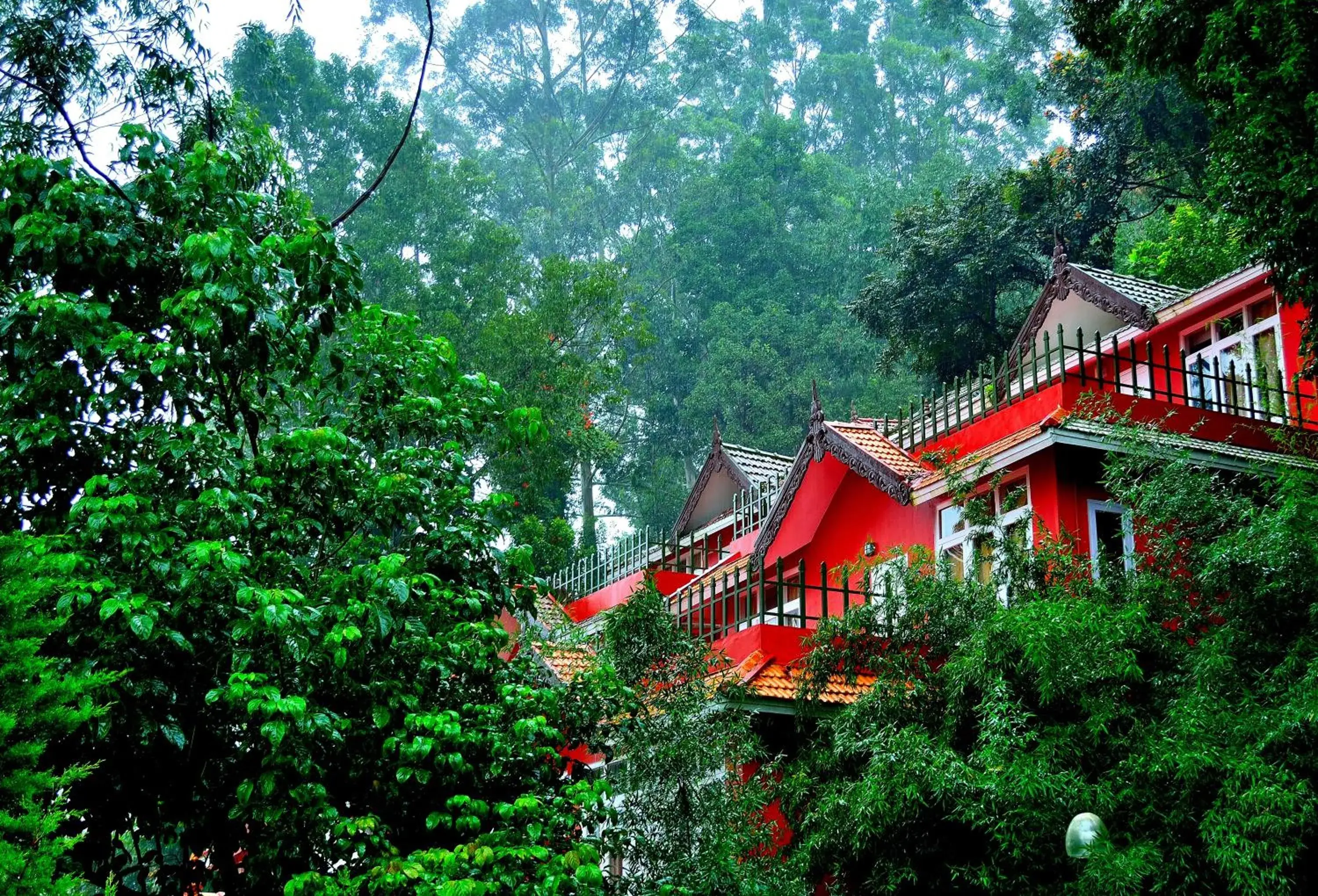 Tea Valley Resort, Munnar Tea Valley Resort, Munnar