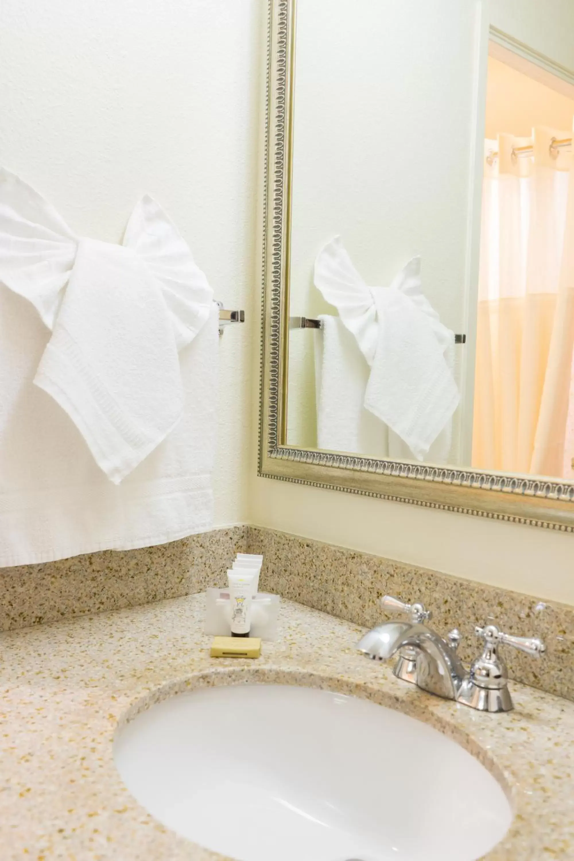 Deluxe King Room in Oakland Airport Executive Hotel Deluxe King Room in Oakland Airport Executive Hotel