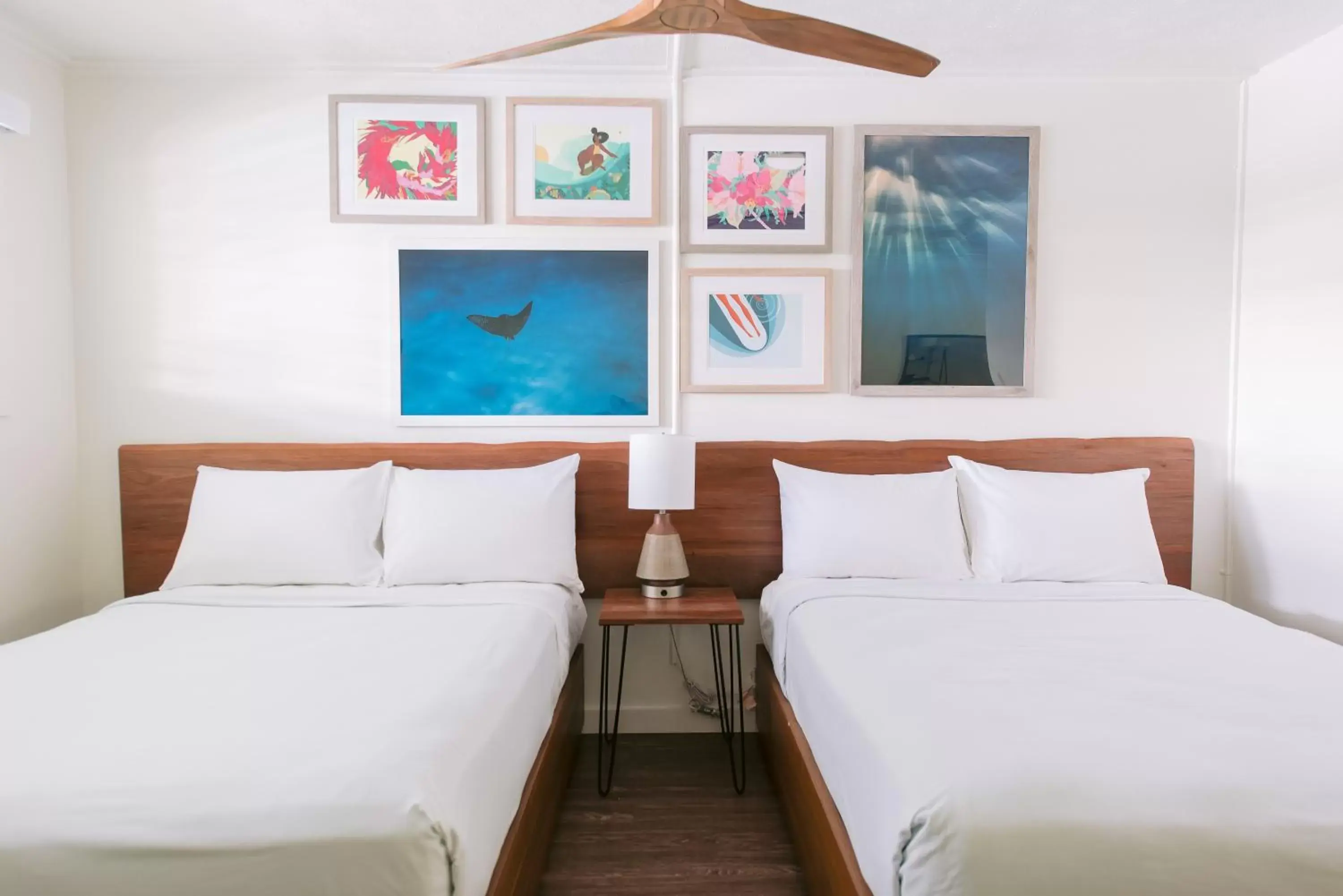 Double Room in SCP Hilo Hotel Double Room in SCP Hilo Hotel