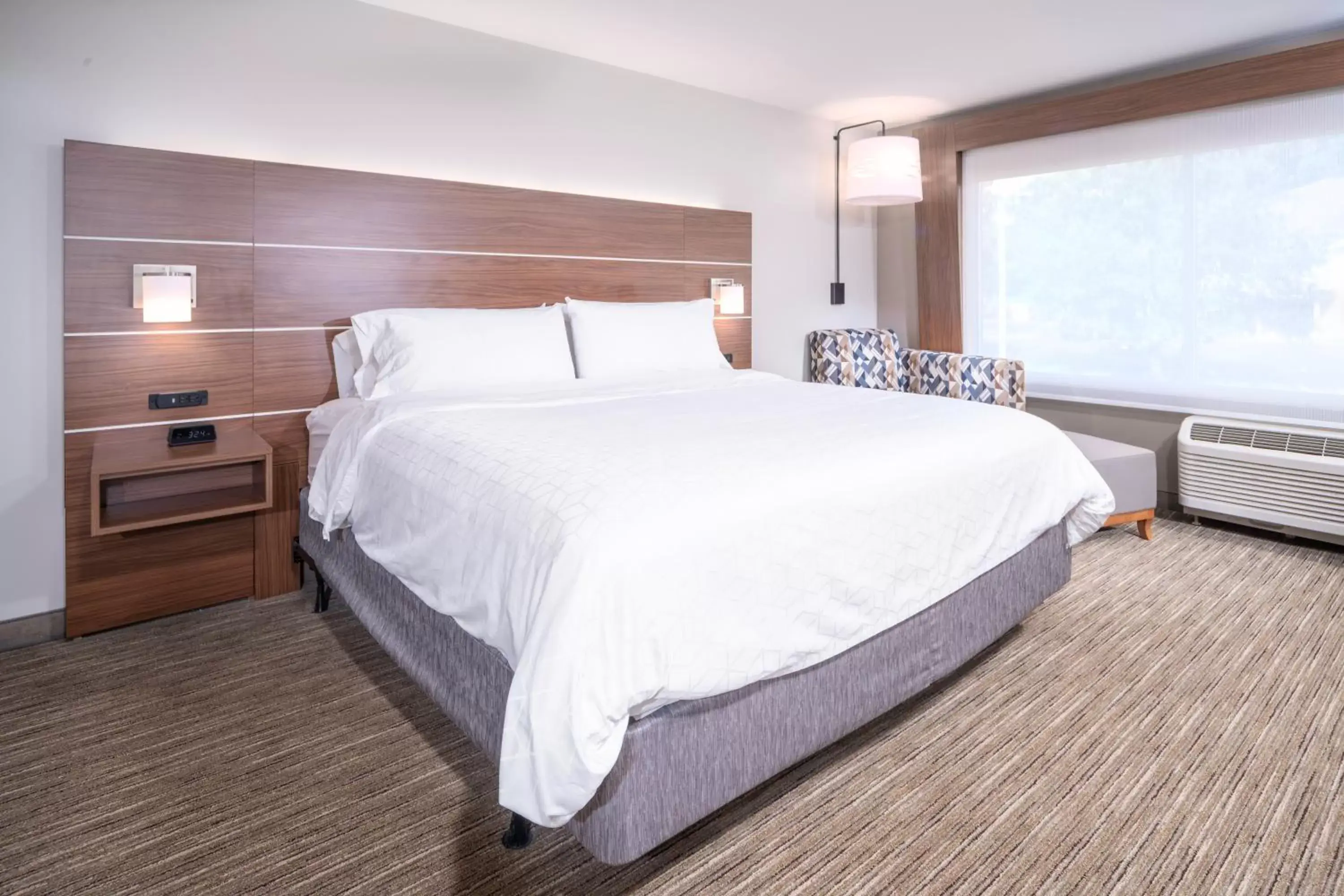 King Suite with Sofa Bed in Holiday Inn Express - Brevard by IHG King Suite with Sofa Bed in Holiday Inn Express - Brevard by IHG