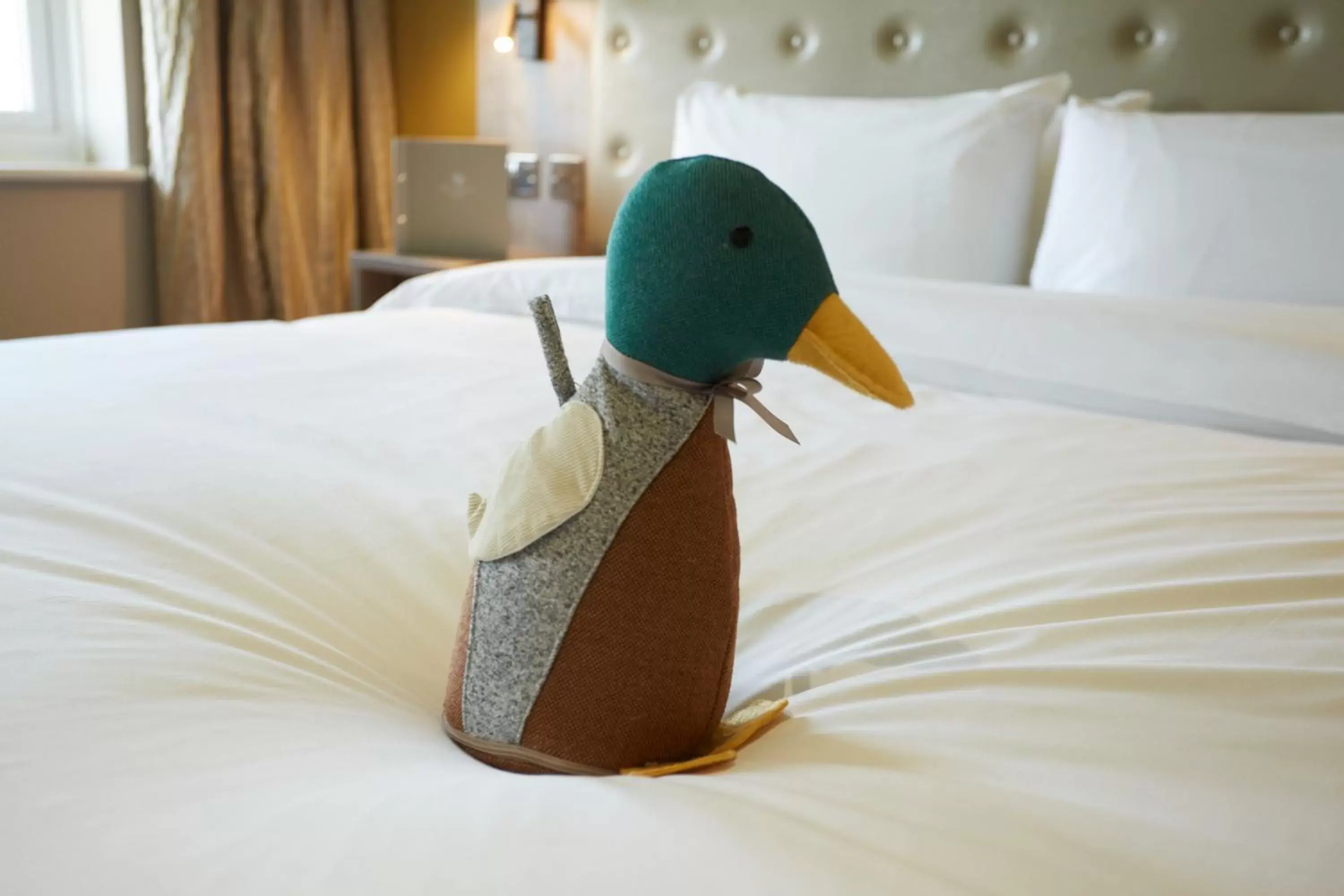 Superior Double or Twin Room in Wychwood Park Hotel and Golf Club Superior Double or Twin Room in Wychwood Park Hotel and Golf Club