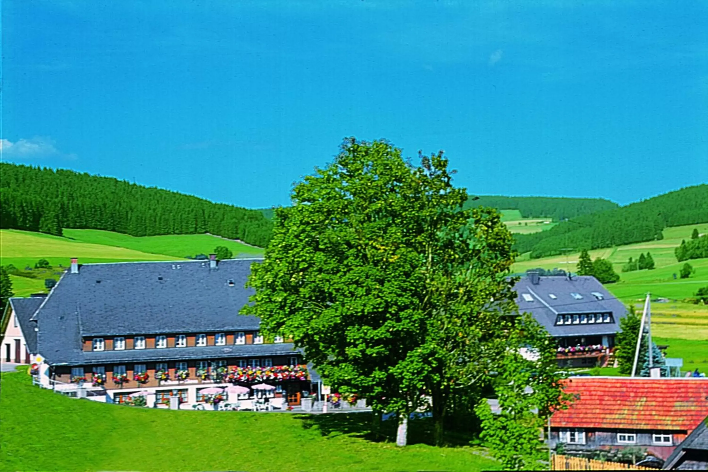 Hotel Zum Löwen - Unteres Wirtshaus Hotel Zum Löwen - Unteres Wirtshaus