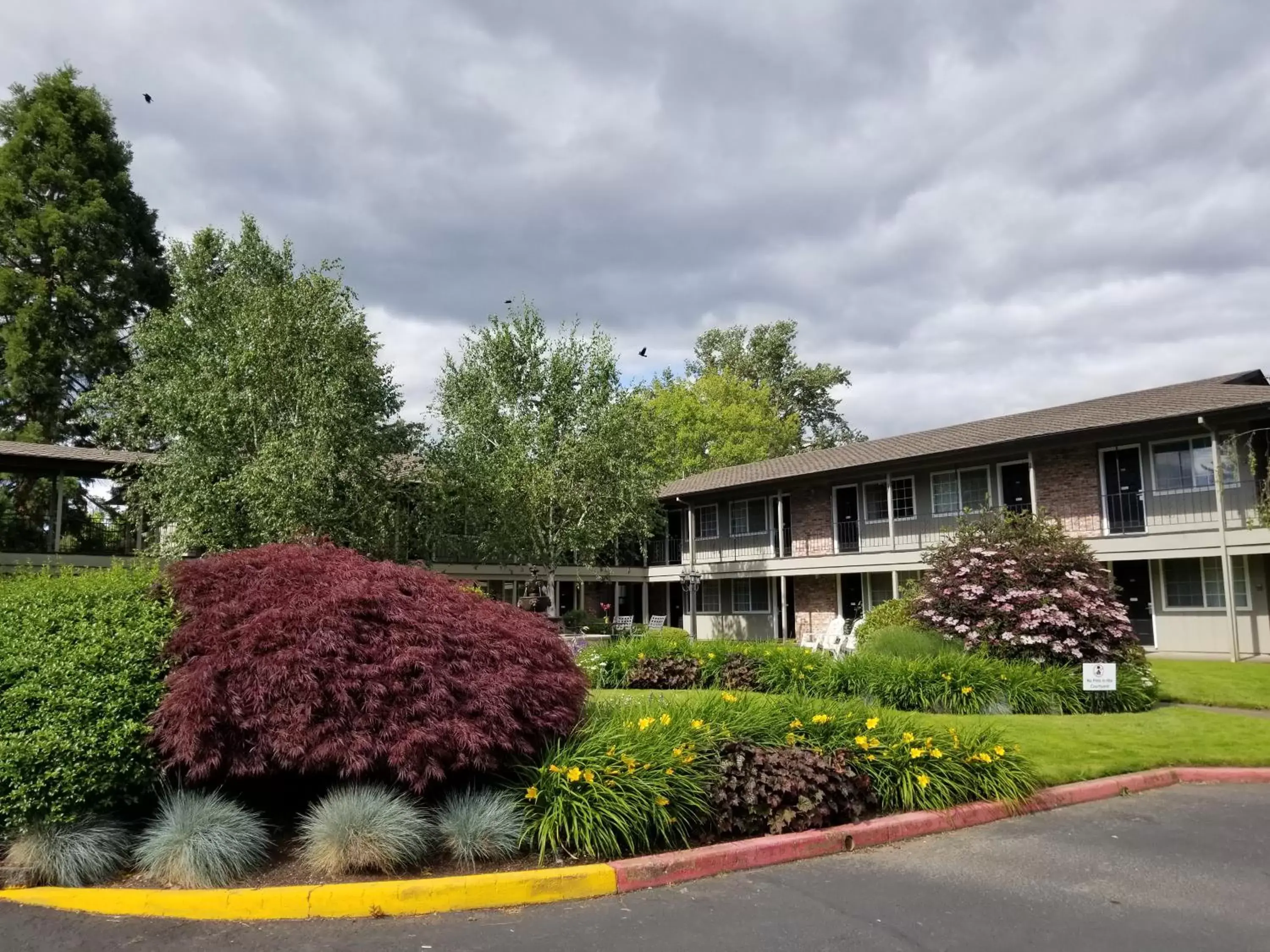 Village Inn Village Inn