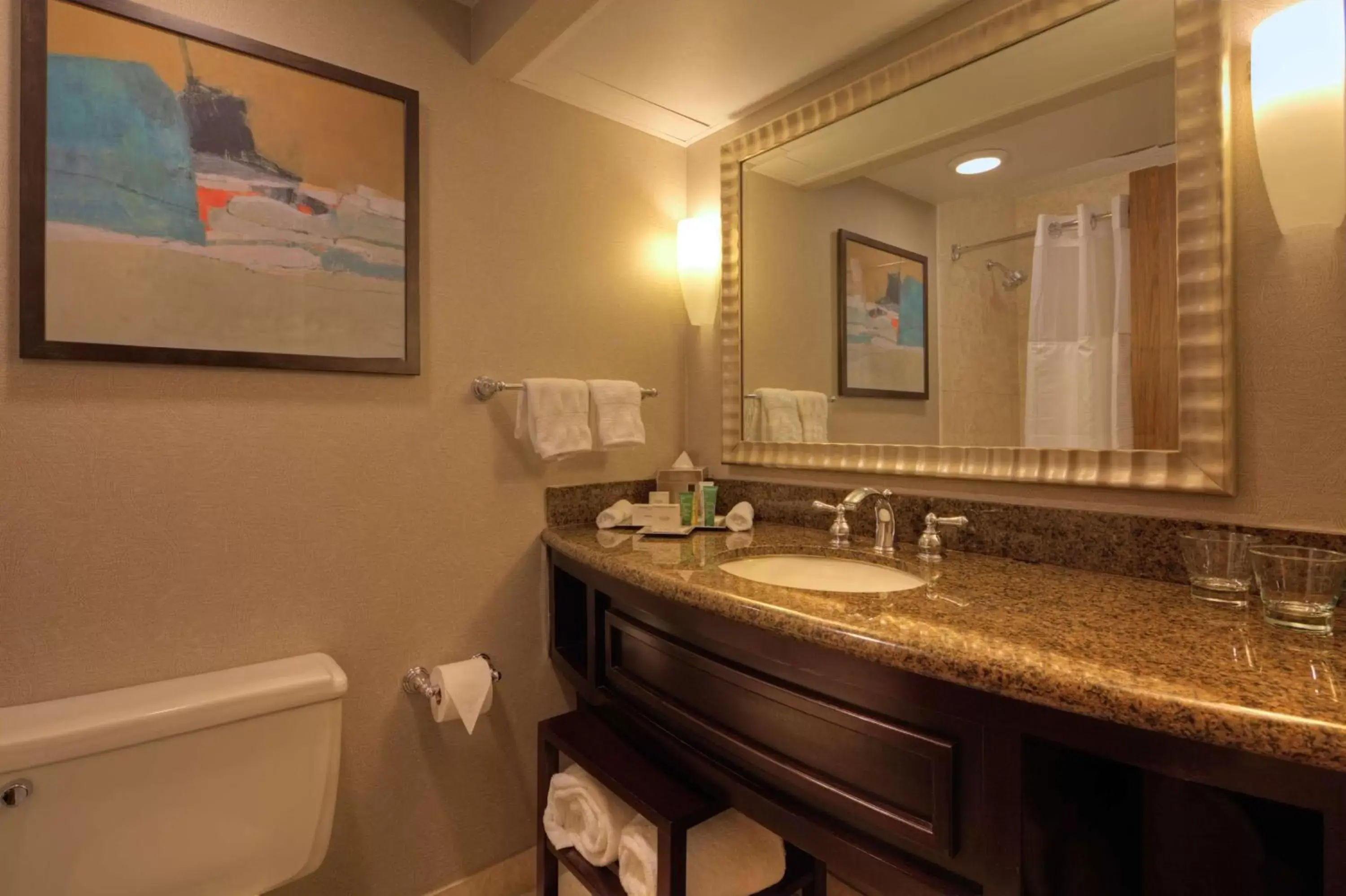 Executive King Room with Bath Tub - Mobility and Hearing Accessible in Hilton Houston Westchase Executive King Room with Bath Tub - Mobility and Hearing Accessible in Hilton Houston Westchase